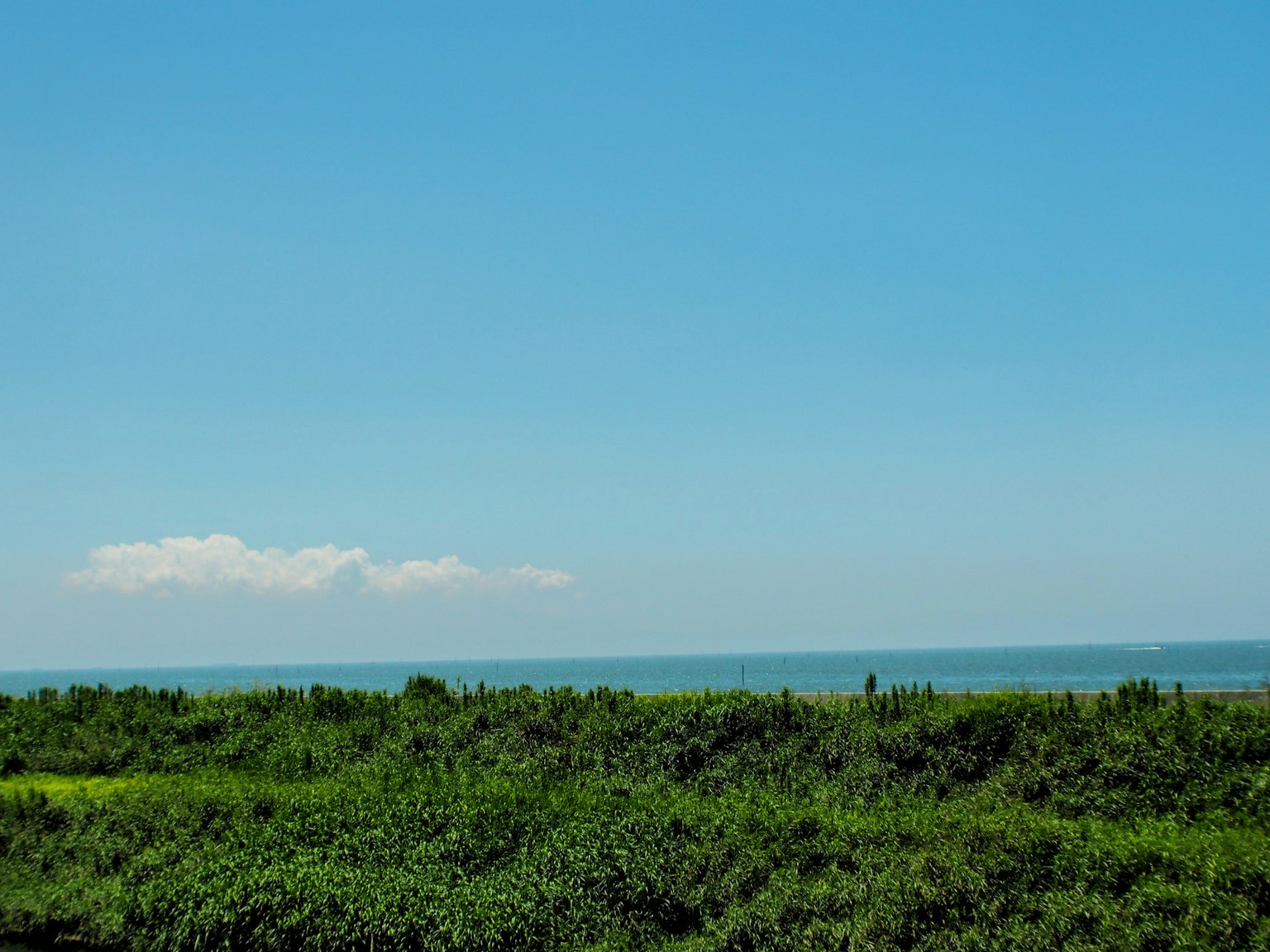 Lush green landscape with a clear blue sky and ocean
