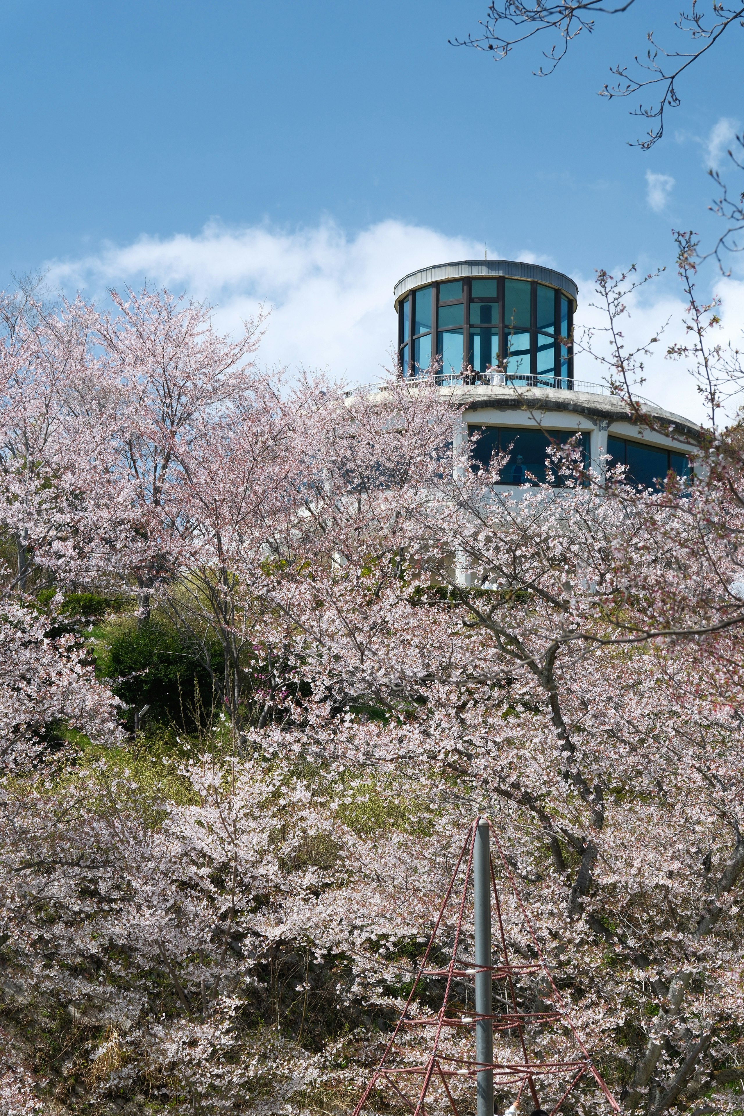 広島市植物公園の桜が咲く園内の展望塔