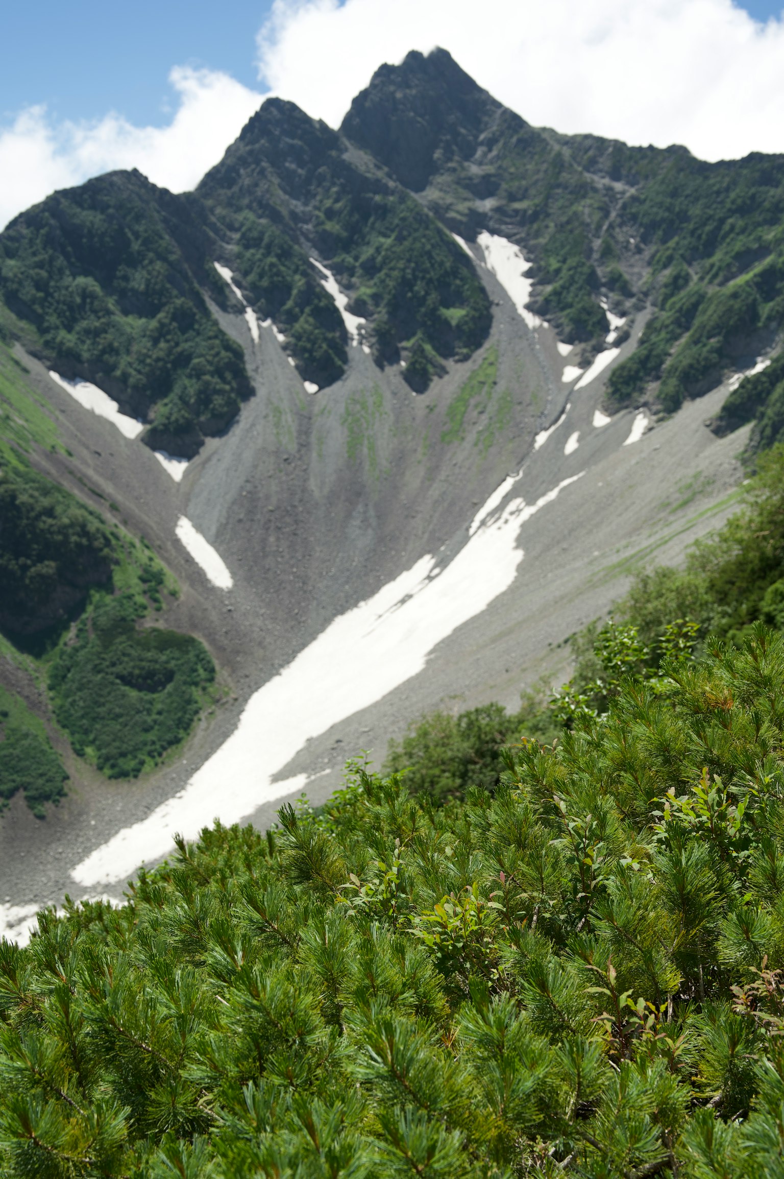 郁郁葱葱的山坡和残留雪的陡峭山谷