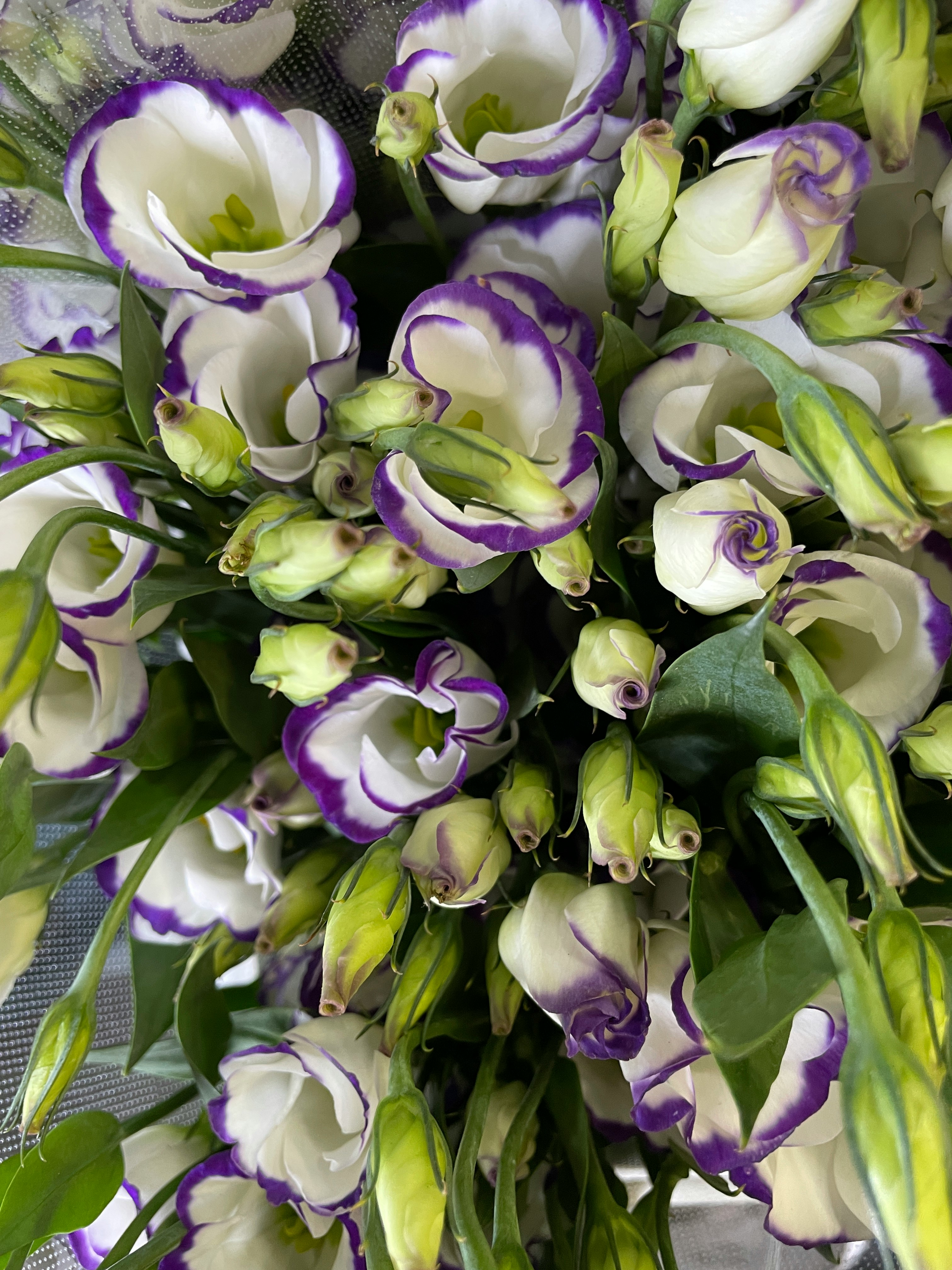 Strauß aus violetten und weißen Lisianthusblüten