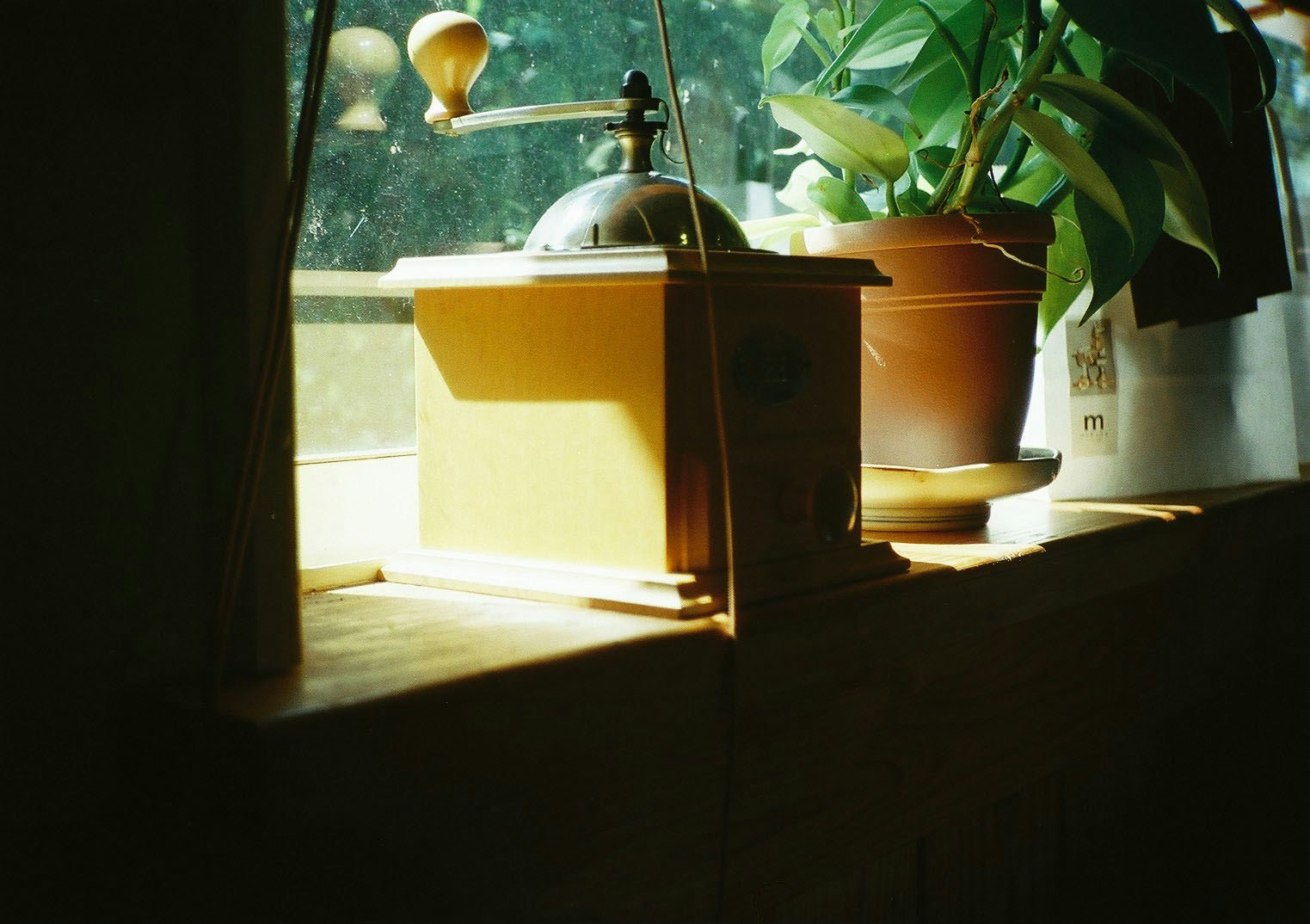 窓辺のキッチンカウンターに置かれたコーヒー器具と観葉植物
