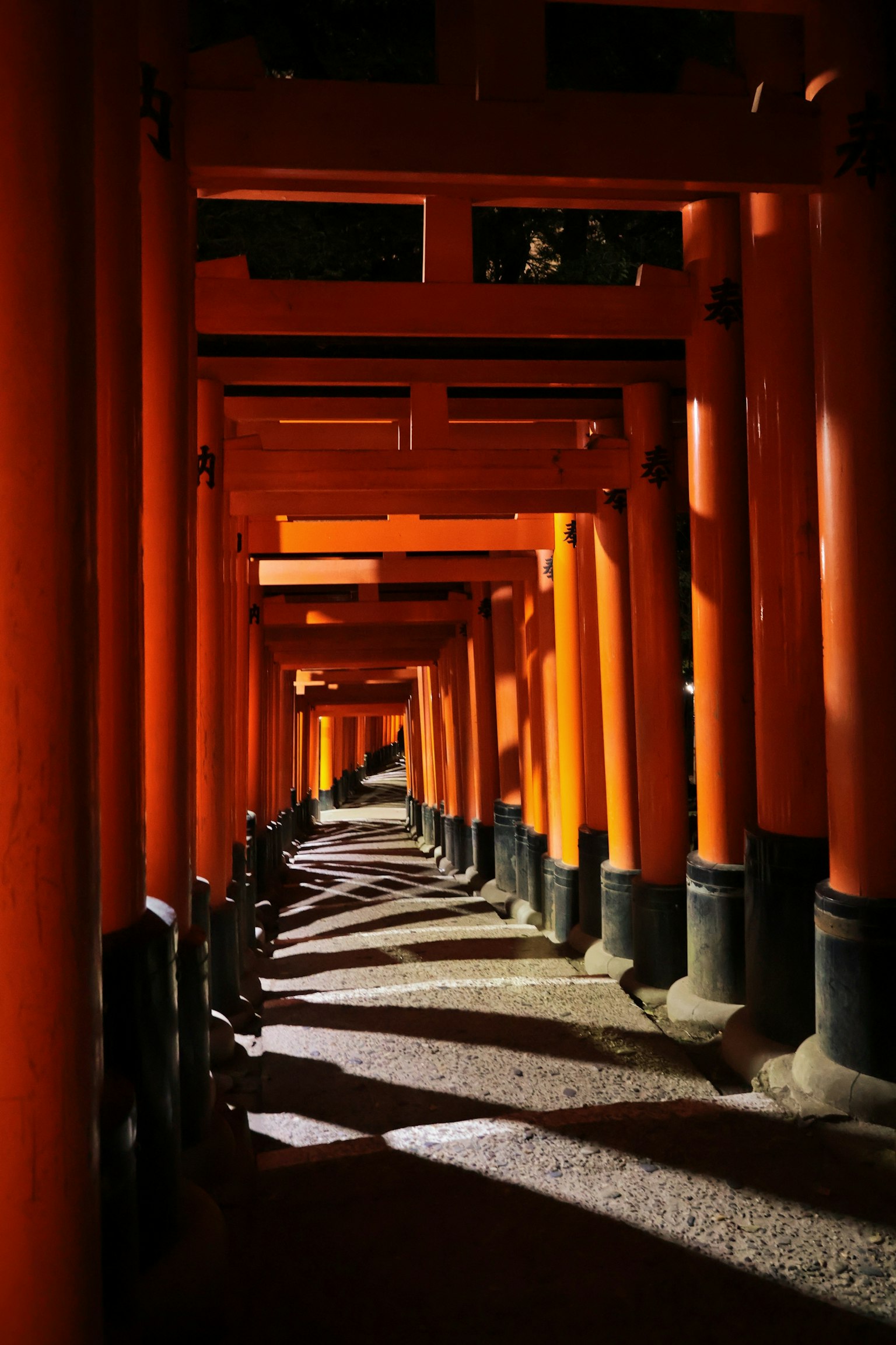 Ein Tunnel aus roten Torii-Toren, der einen ruhigen Weg schafft