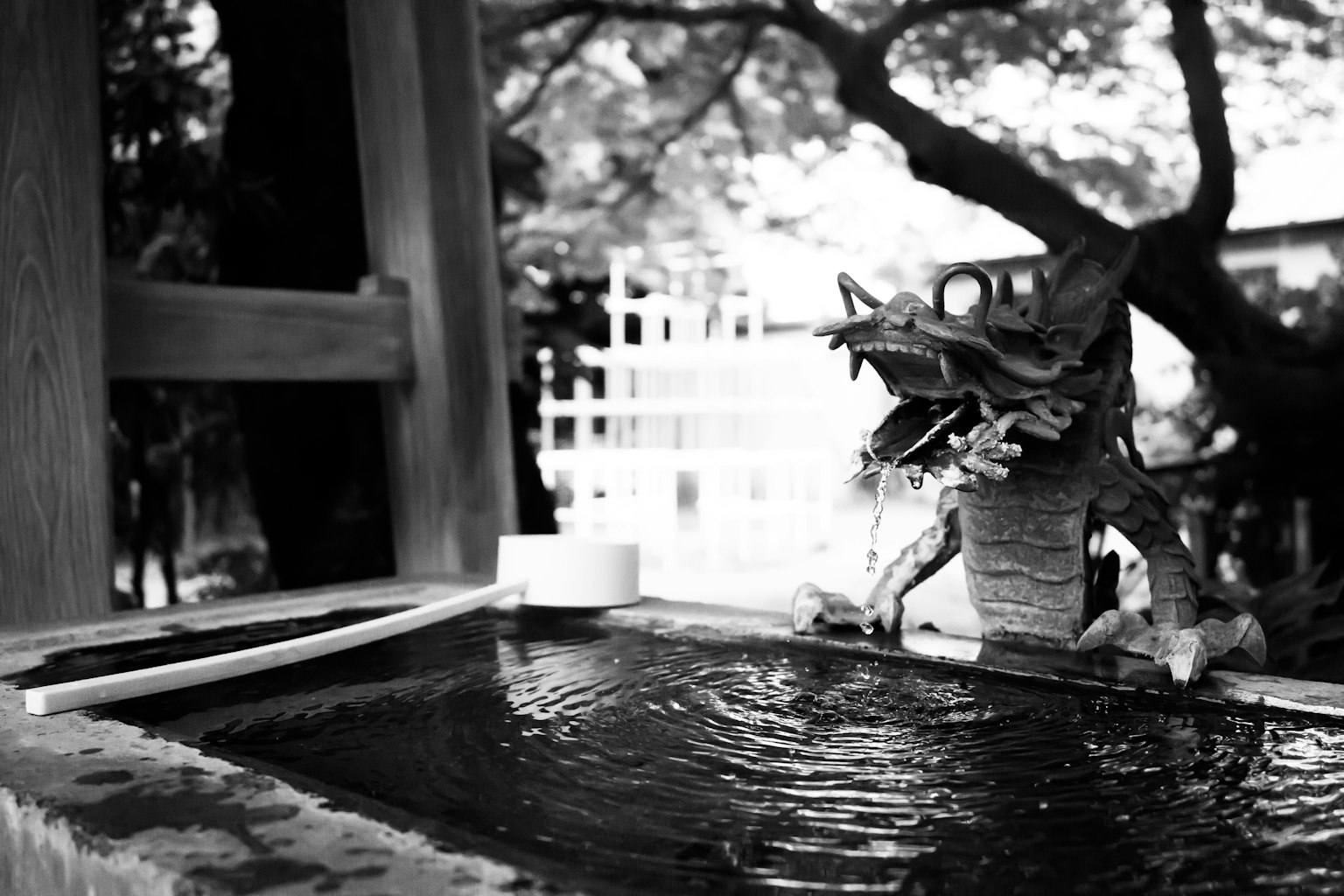 Image en noir et blanc présentant une sculpture de dragon d'eau et un bassin de lavage