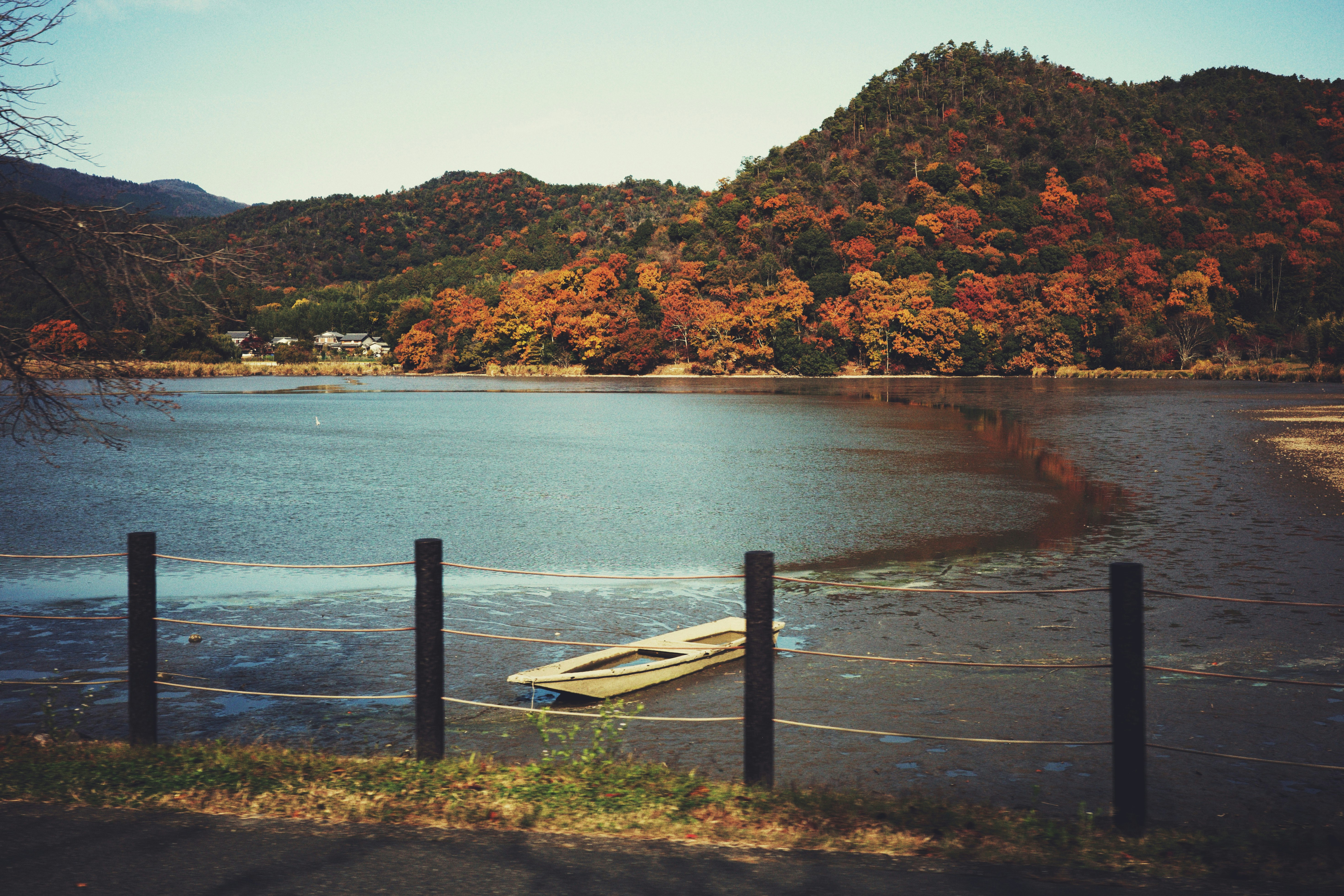 広沢池の水面と沈んでいた舟が見える冬の風景