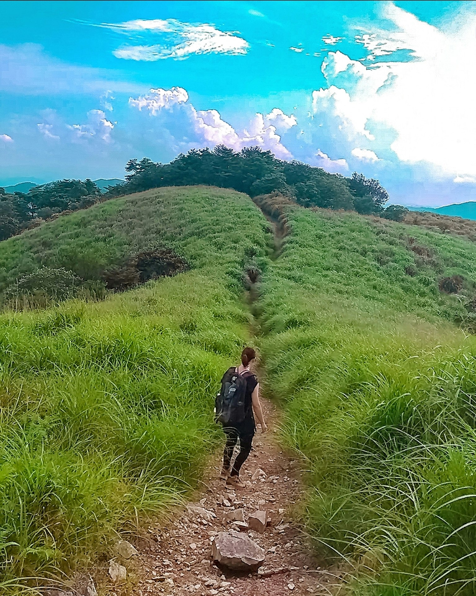 人在草地小路上走，背景是藍天和雲朵