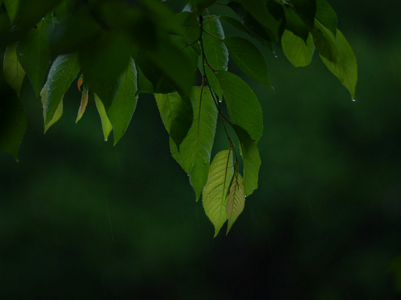 photo-sL3hlDuNgiIeMGrnRE0B-image