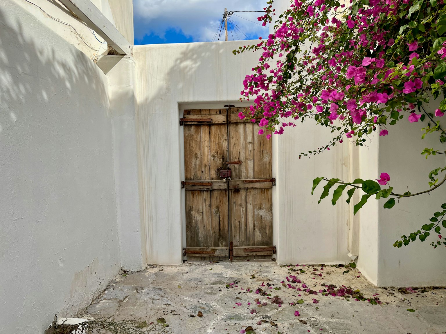 Porte en bois entourée de murs blancs et de fleurs de bougainvillier roses