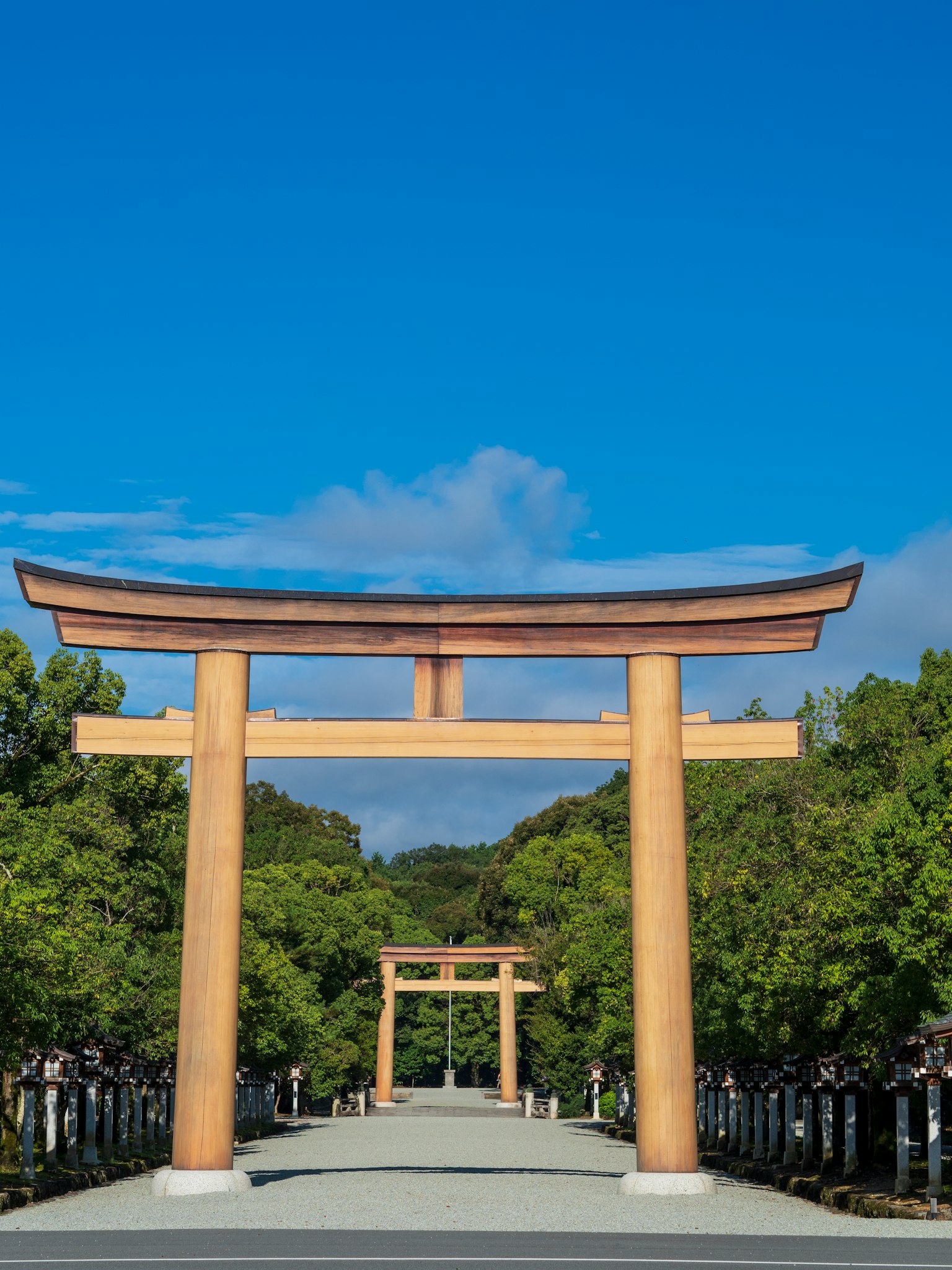 Wooden torii gates under a blue sky surrounded by green trees