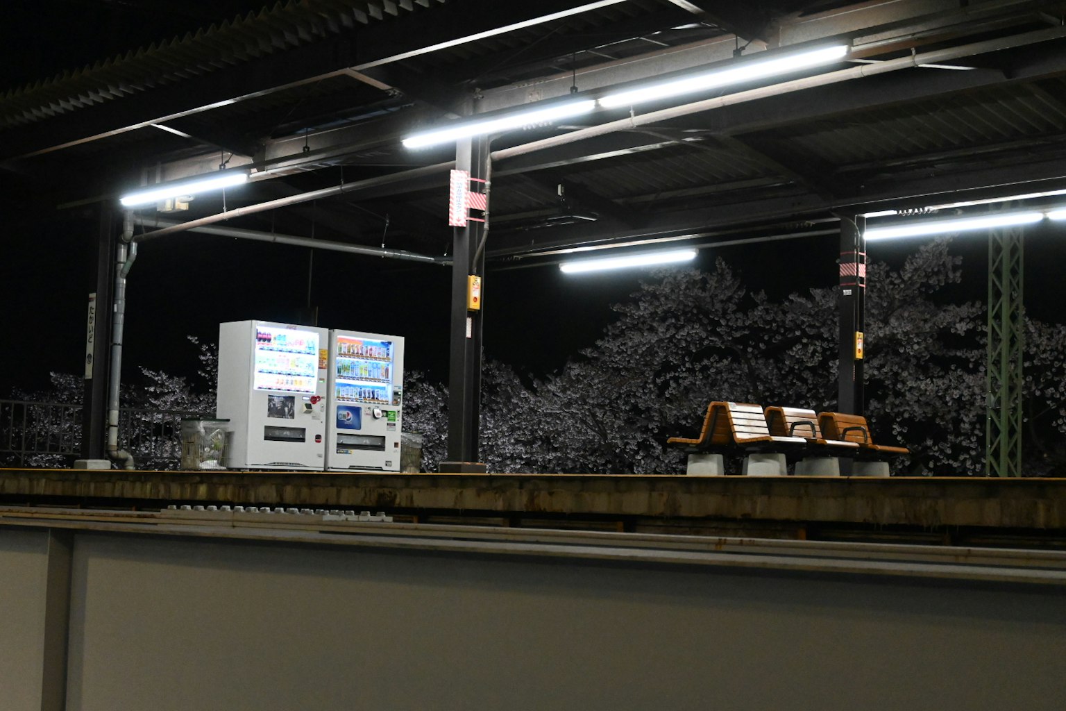 Nächtliche Ansicht einer Bahnhofsplattform mit Verkaufsautomaten und Bänken
