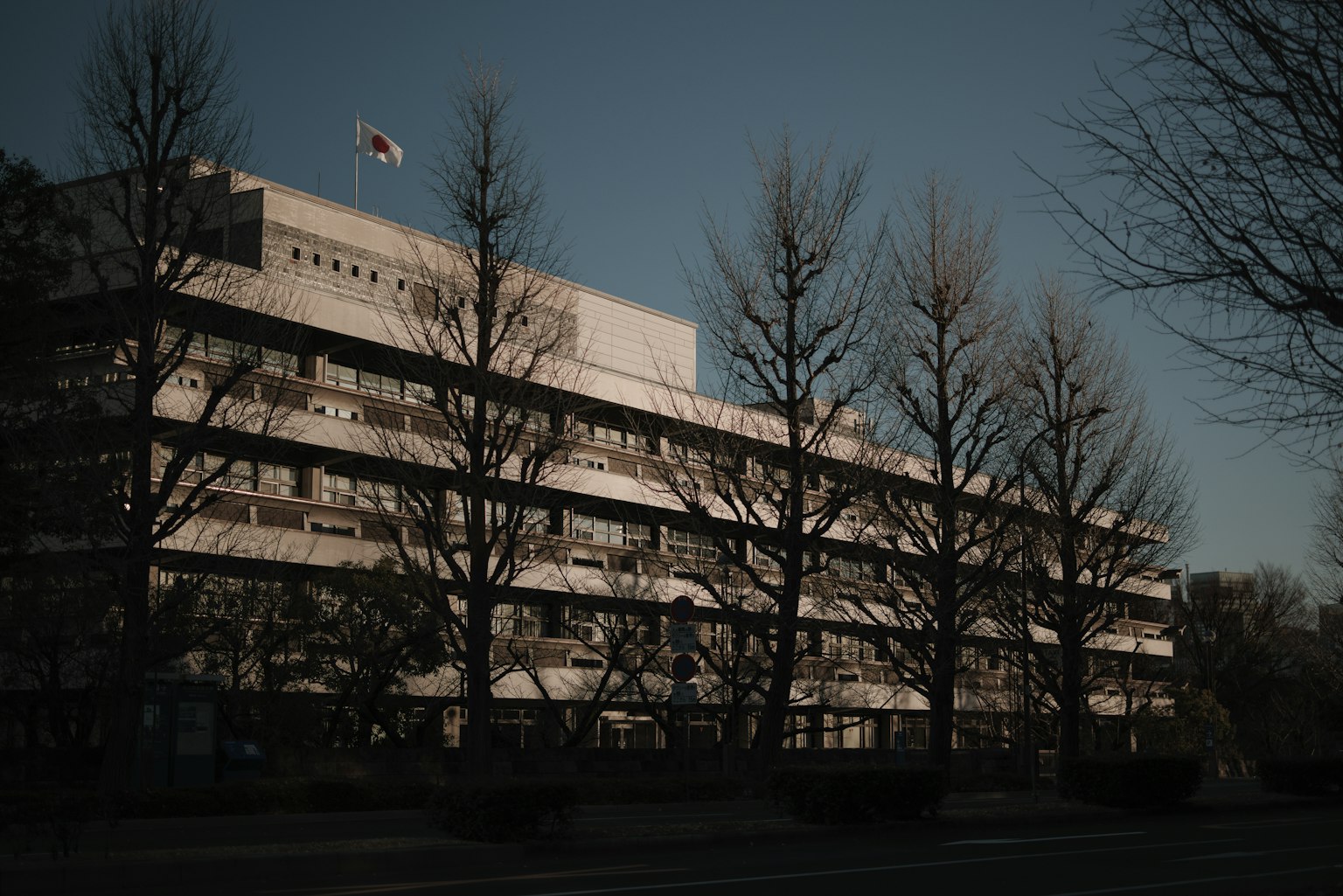 现代建筑上悬挂着韩国国旗，周围是光秃的树木