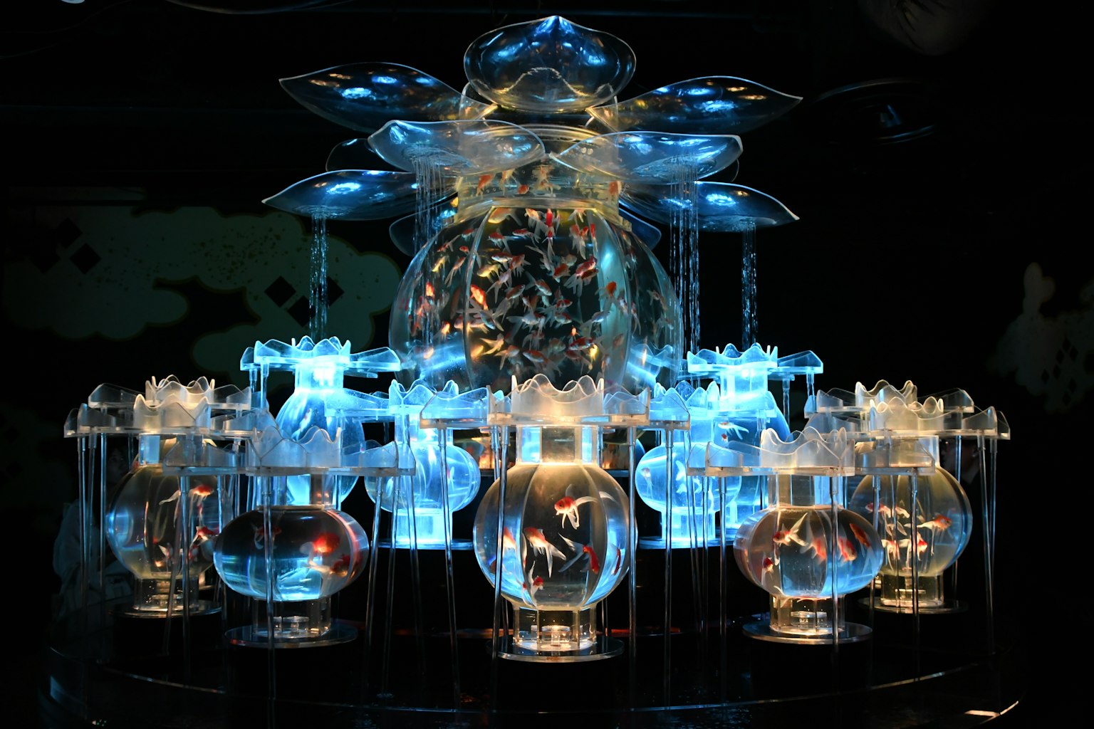 Schöne Kunstinstallation mit transparenten Aquarien und blauer Beleuchtung