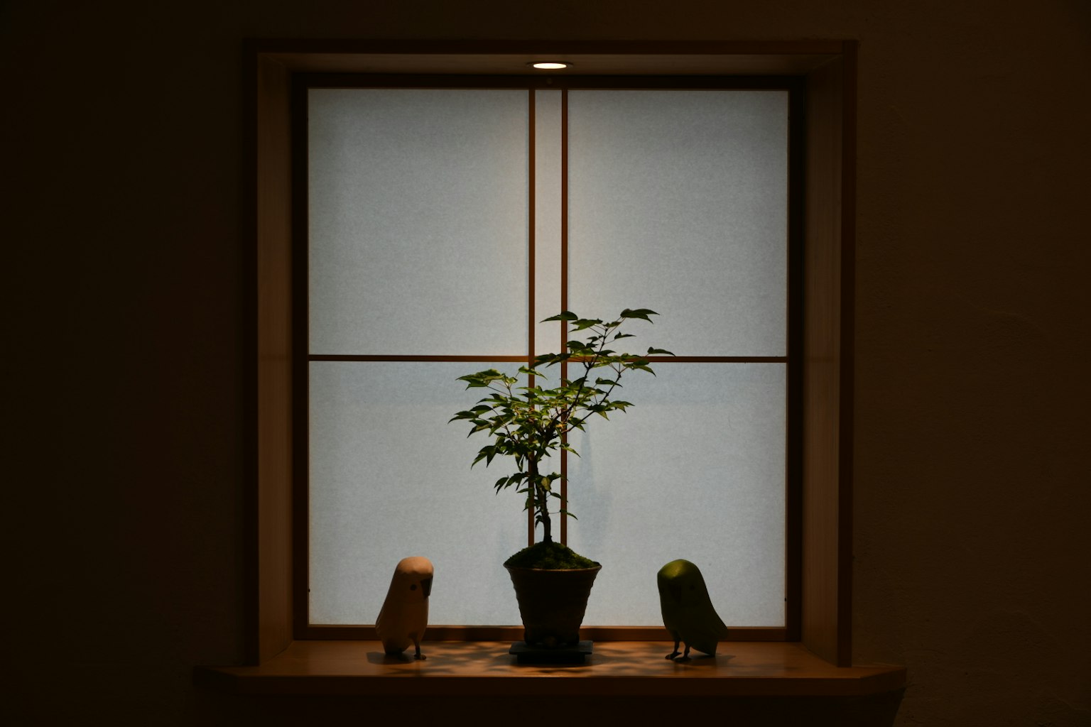 窗台上摆放着一盆小植物和两个物体