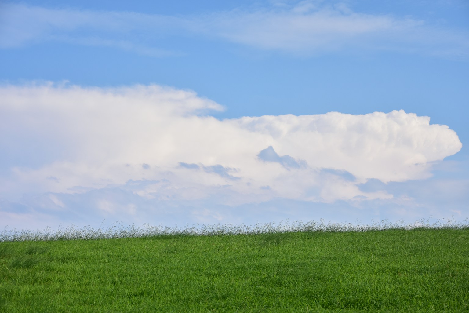藍天白雲下的綠色草地