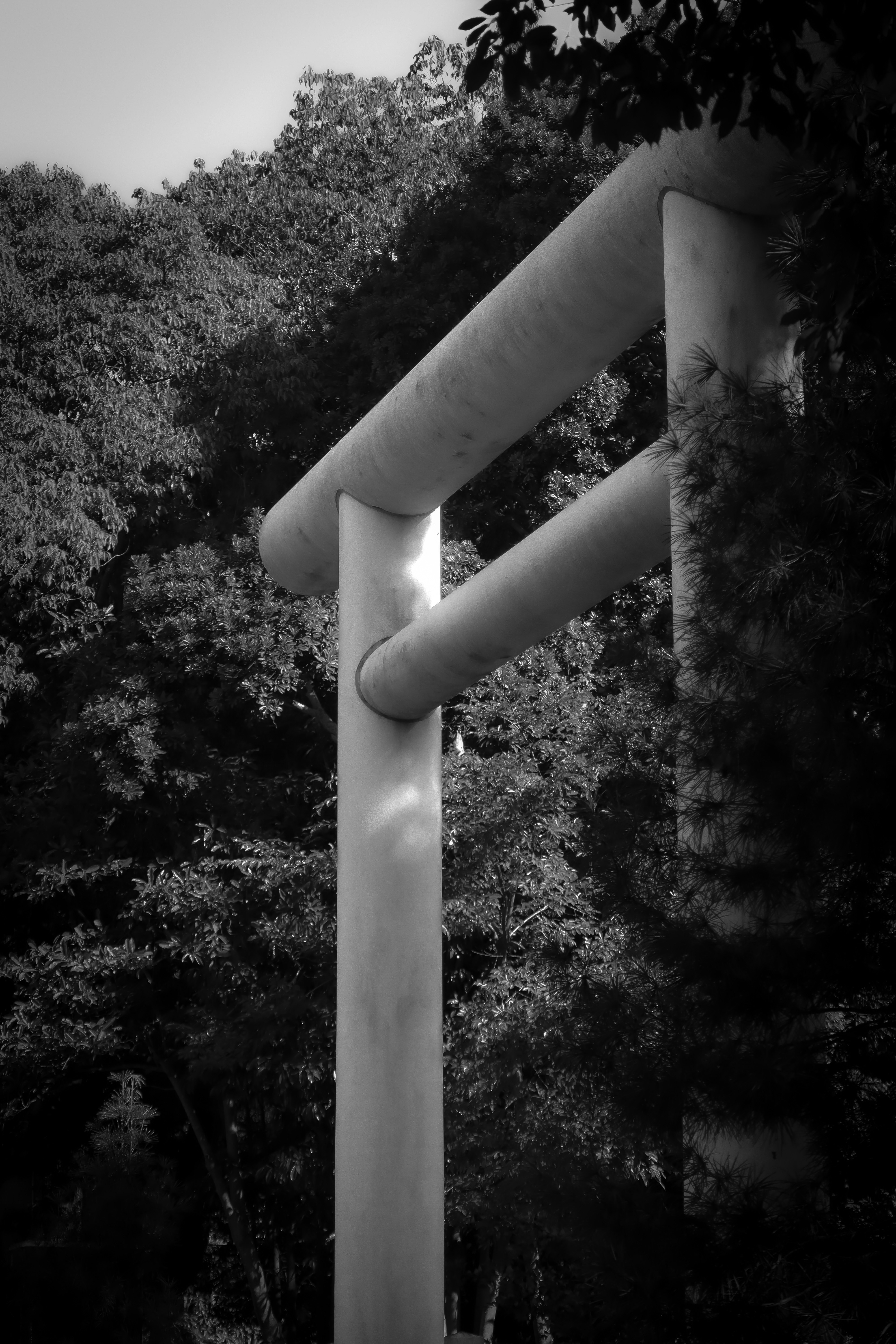 Portiques torii avec montants et traverse dans un paysage de sanctuaire en forêt