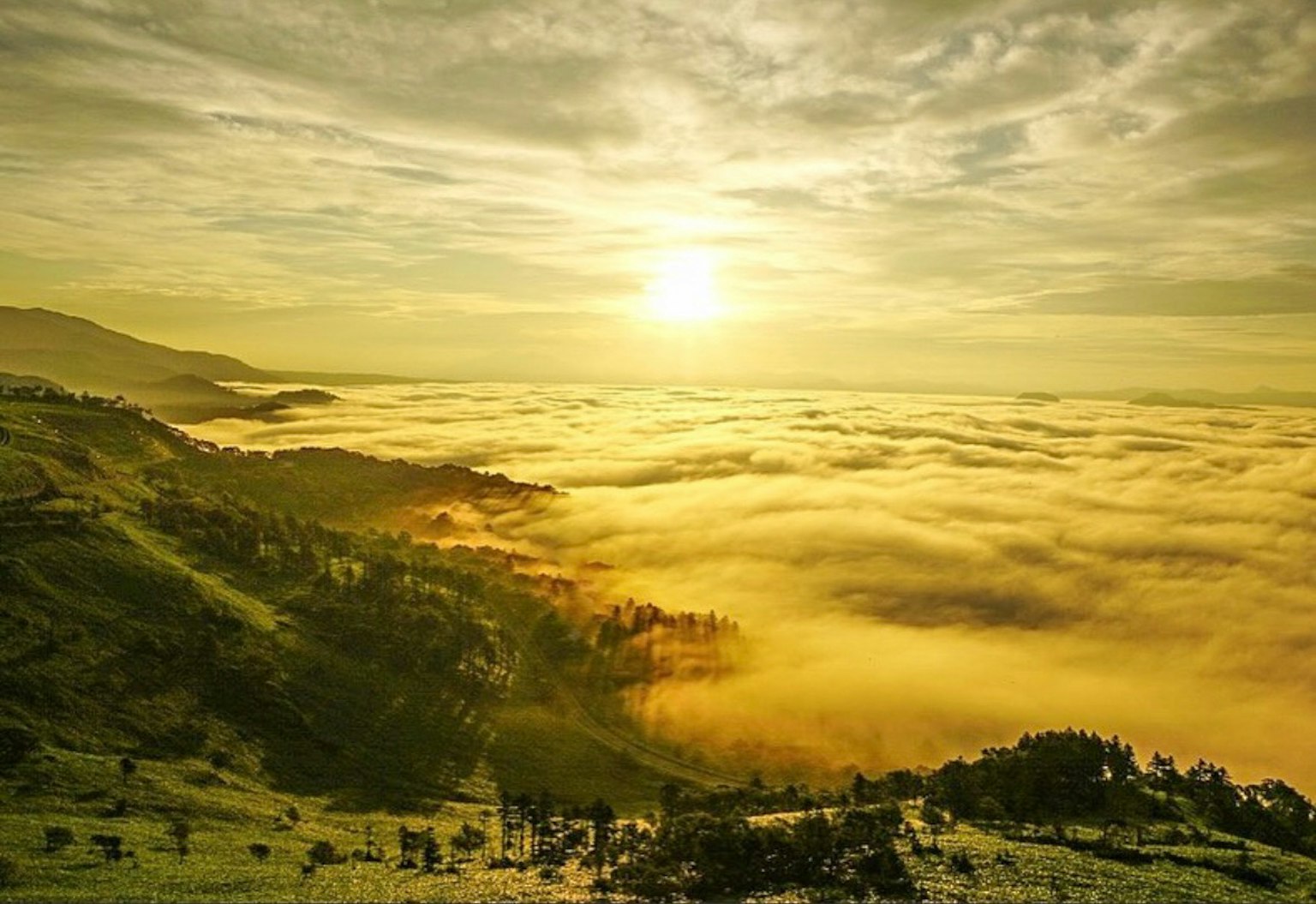Una vista impresionante de colinas cubiertas de niebla con un brillante amanecer