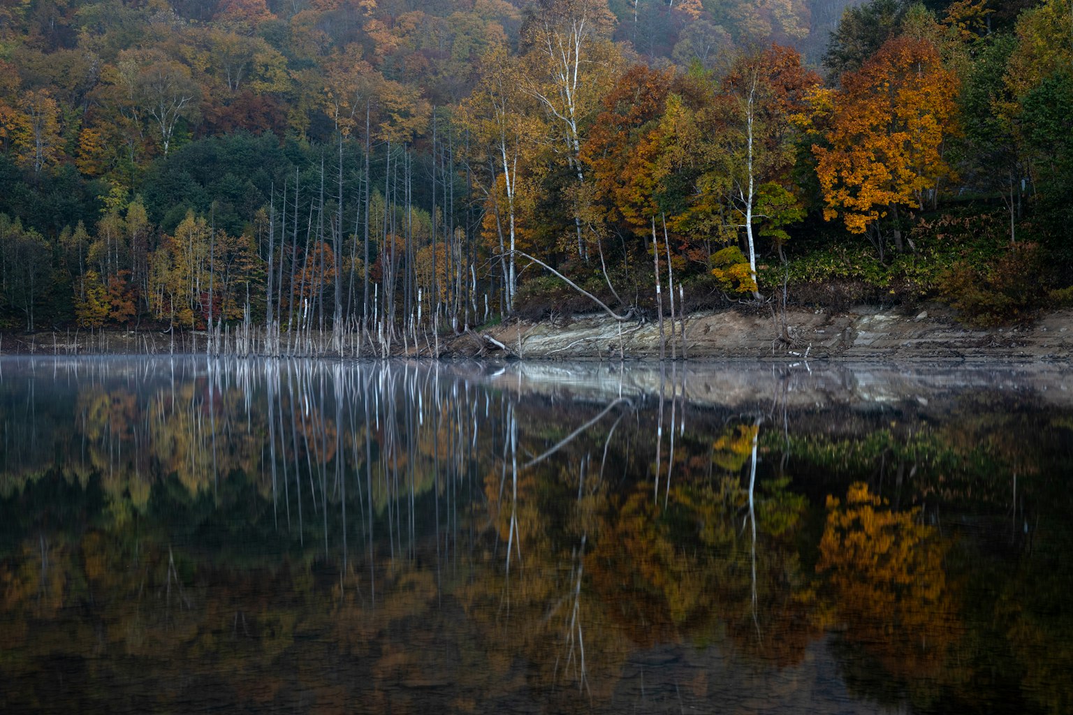 Autumn trees reflecting on calm lake water