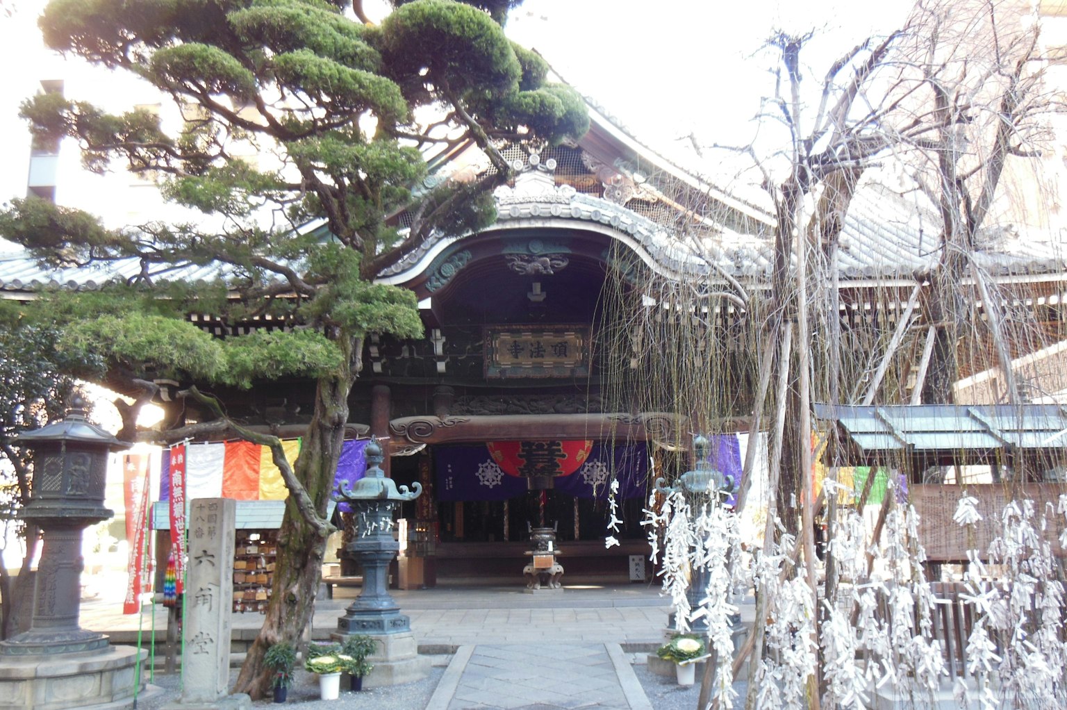 Entrée d'un temple japonais traditionnel avec un beau pin et des lanternes décoratives