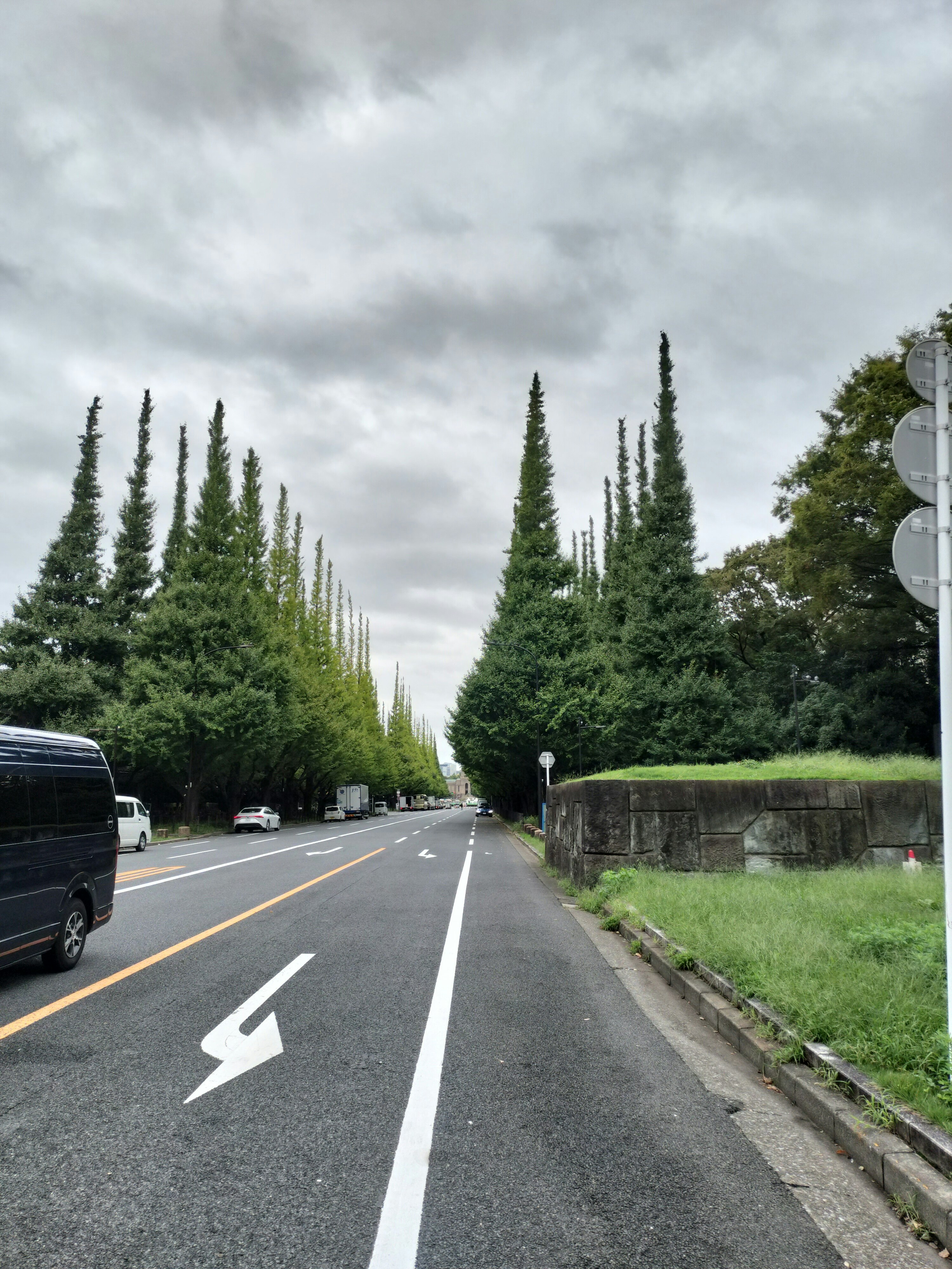 並木道のある郊外の道路風景