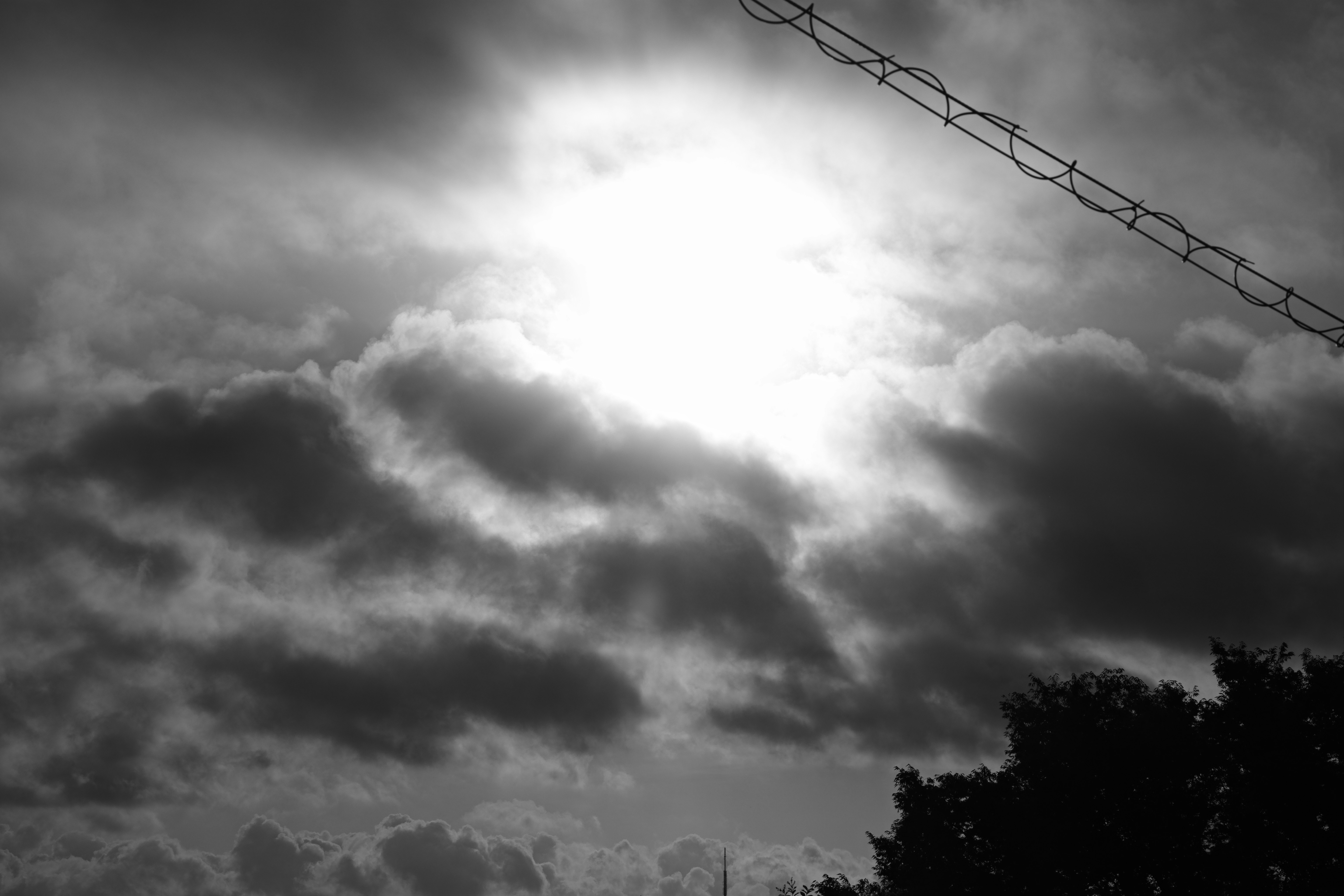 雲が広がる空と木々のシルエット