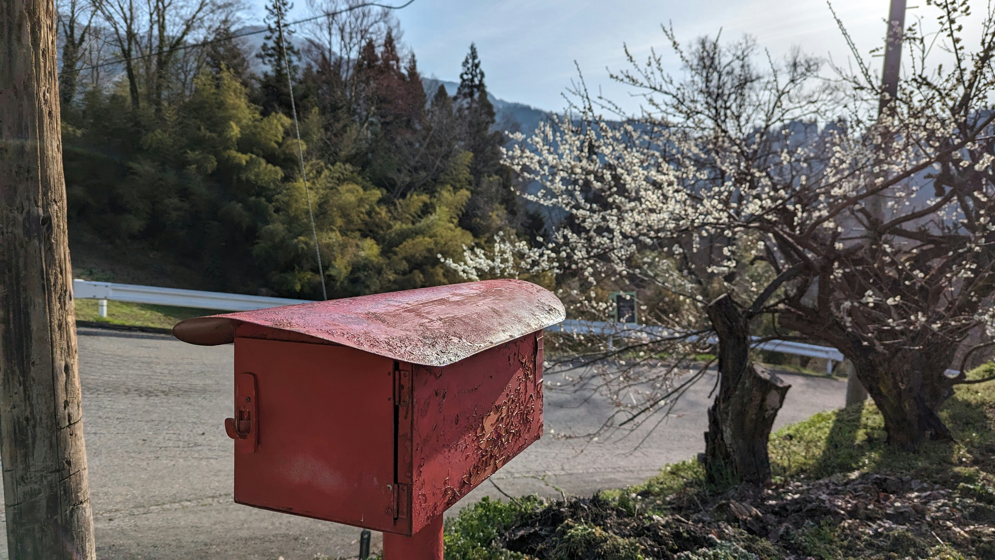 里山の川沿いに咲く桜と赤い小屋