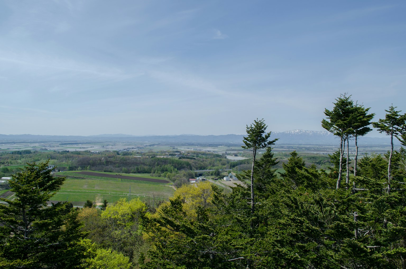 Panoramic view of lush green landscape under a clear blue sky
