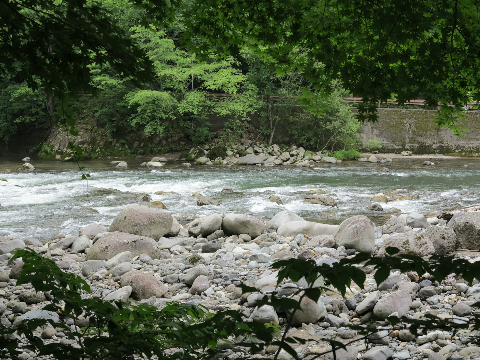 Eine malerische Aussicht auf einen Fluss, der zwischen Steinen fließt, umgeben von grünen Bäumen