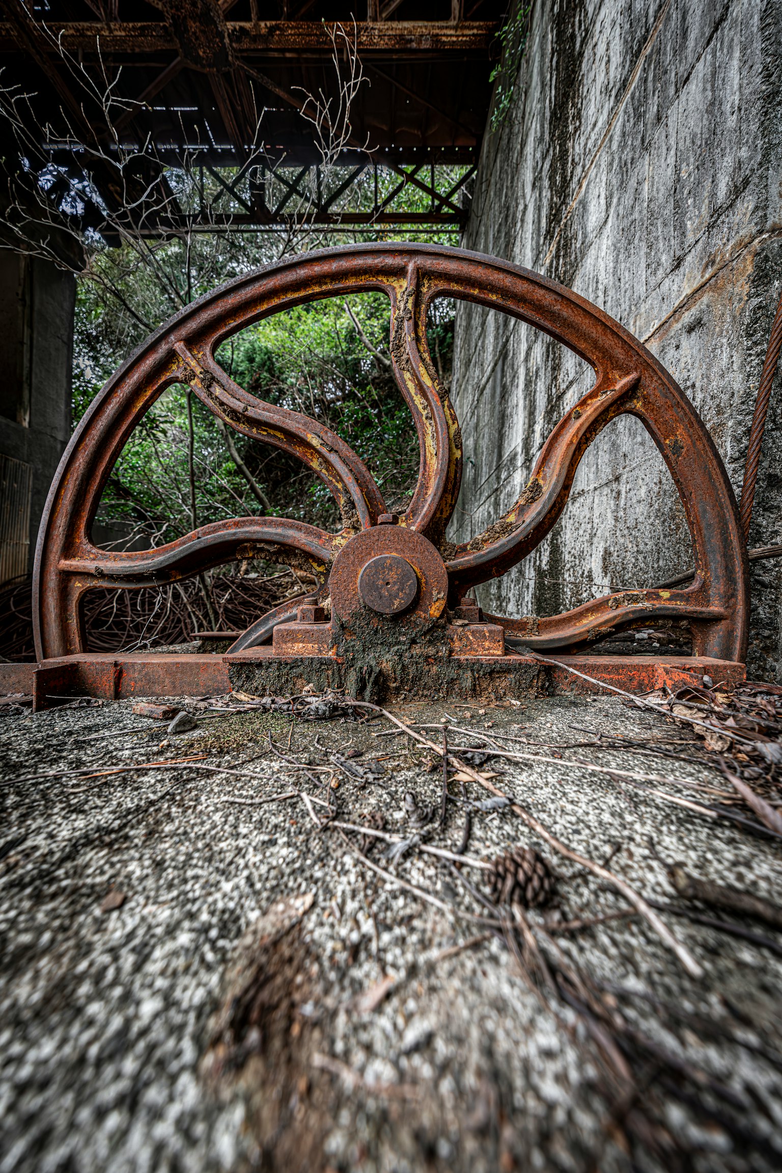 Roues rouillées reposant sur le sol dans un cadre abandonné avec de la verdure en arrière-plan
