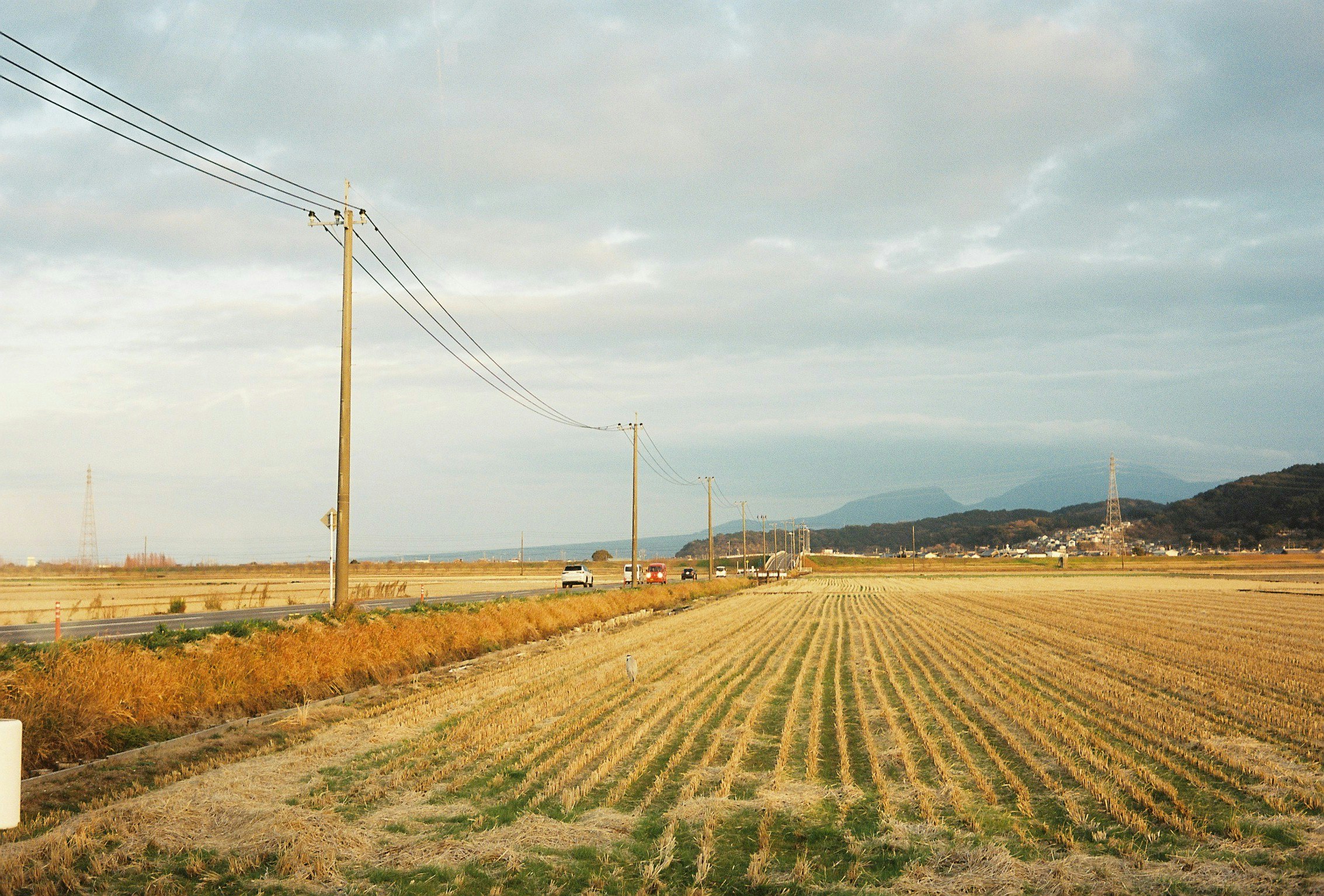 畑の畝と電線が続く田園風景