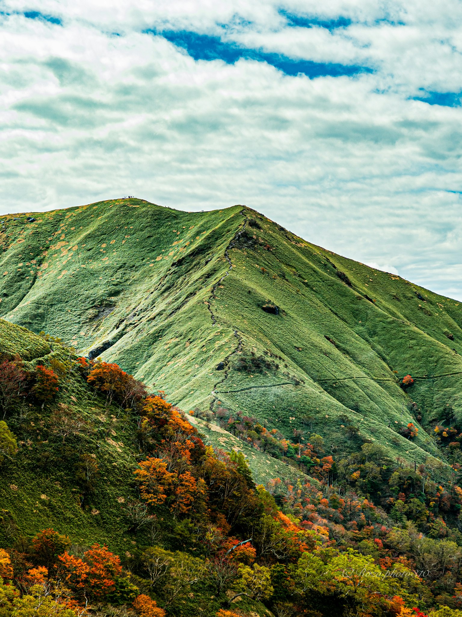 photo-sTdIzPs4fw0tO4DYSEBN-image