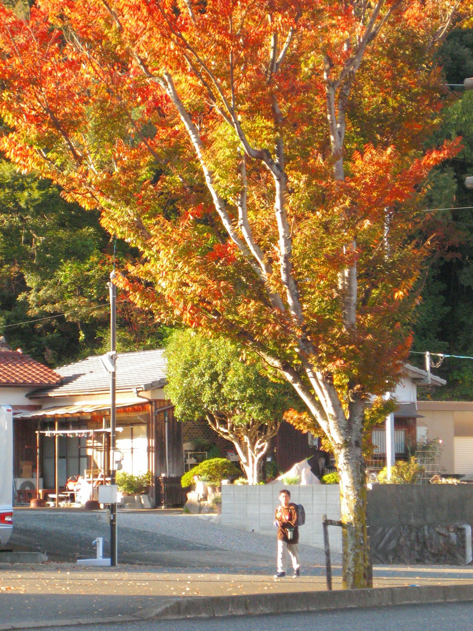 秋の紅葉が美しい街角の風景と人