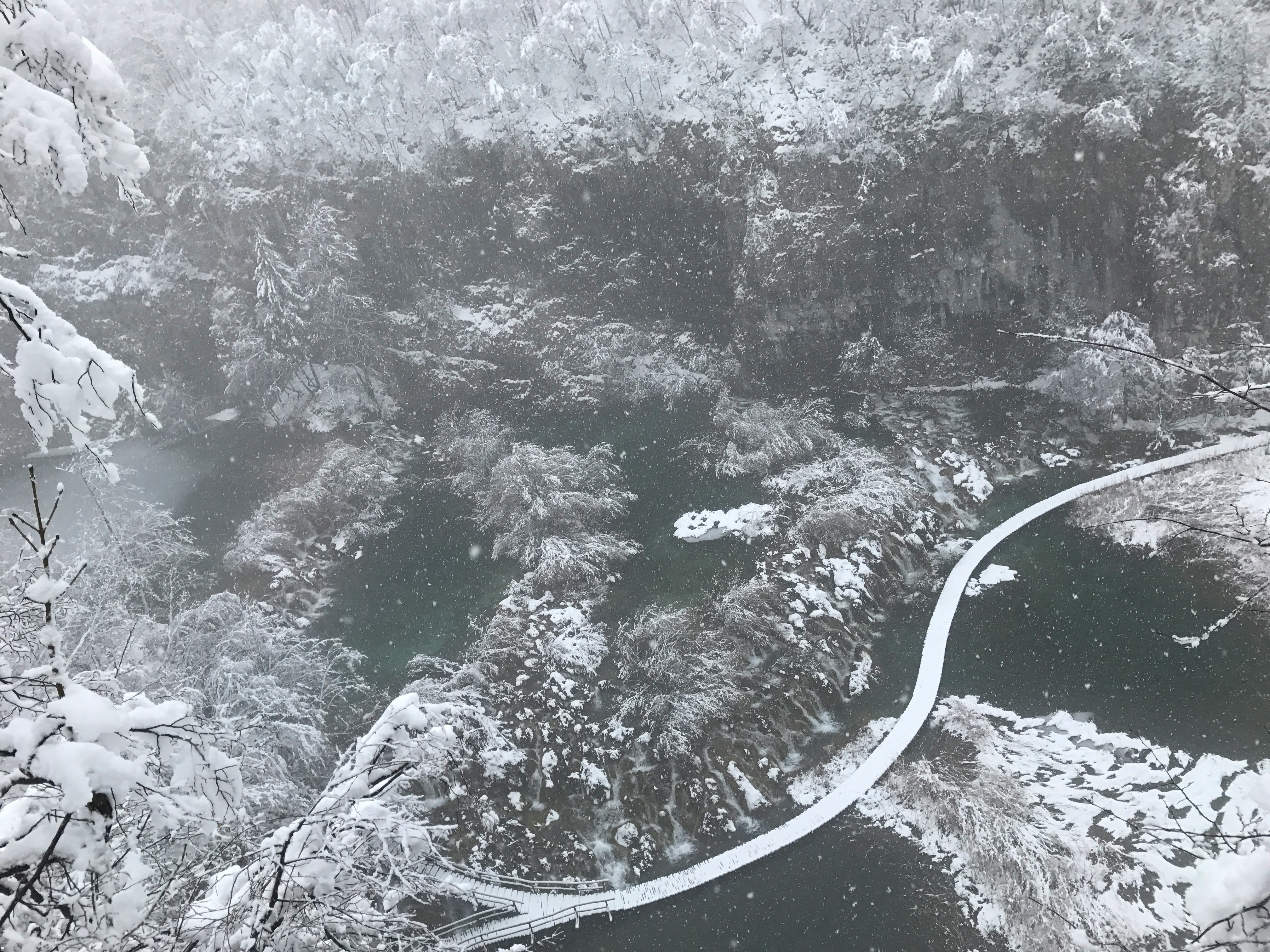 雪の降る森の中を曲がる道路