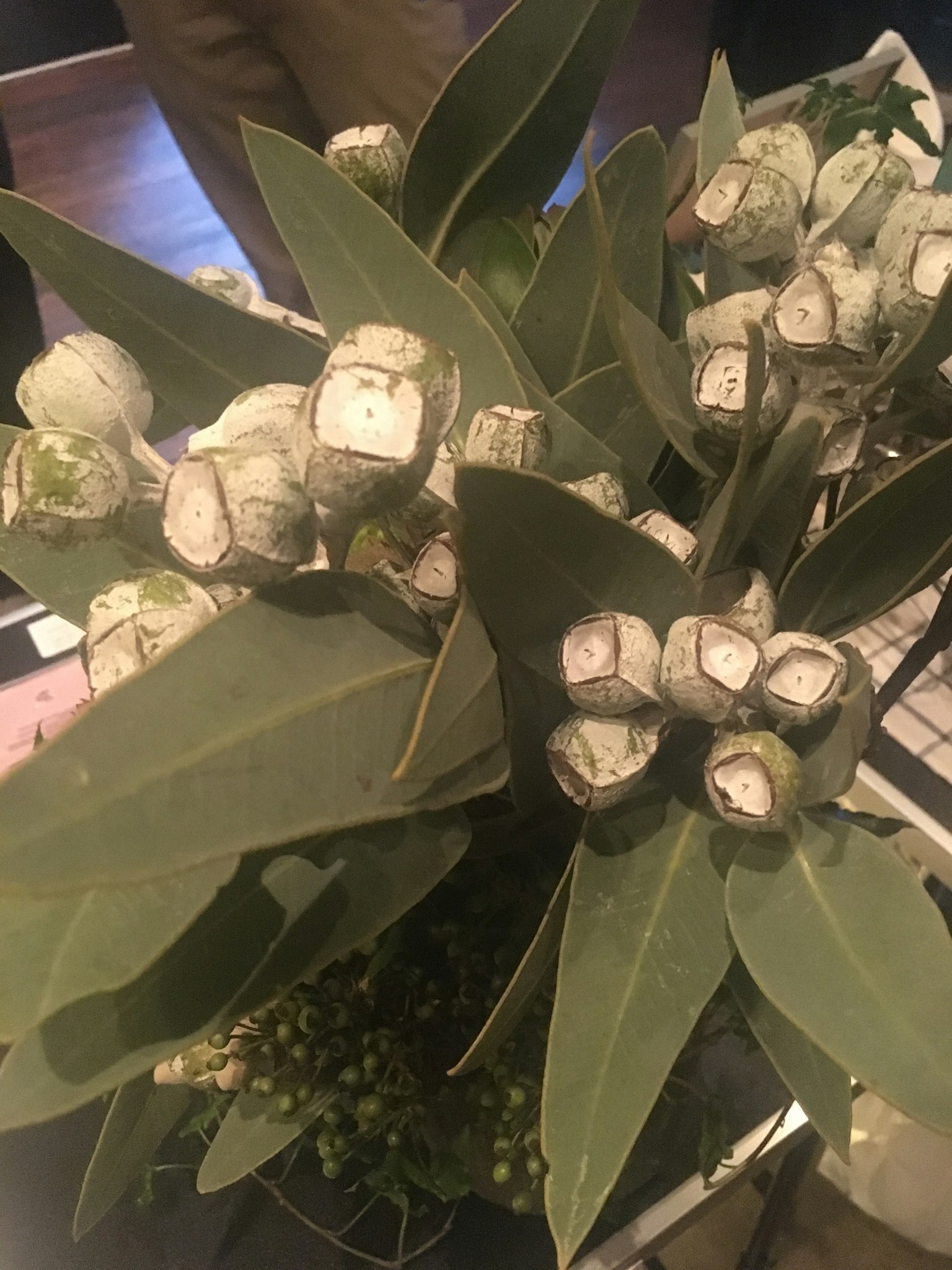 花束包含綠色葉子和獨特的白色花蕾