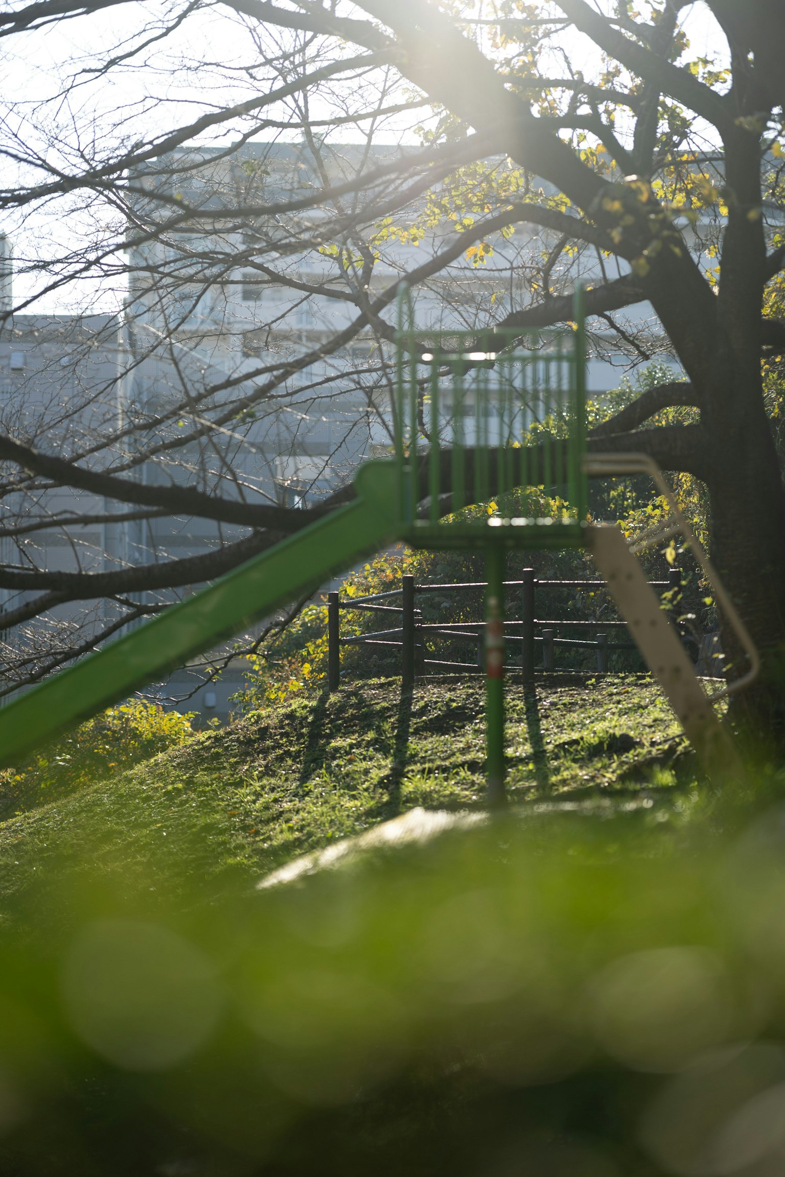 Grüne Rutsche in einem Park mit Bäumen und Sonnenlicht