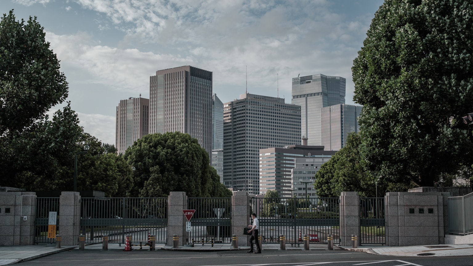Urban landscape with skyscrapers and green trees surrounding the area
