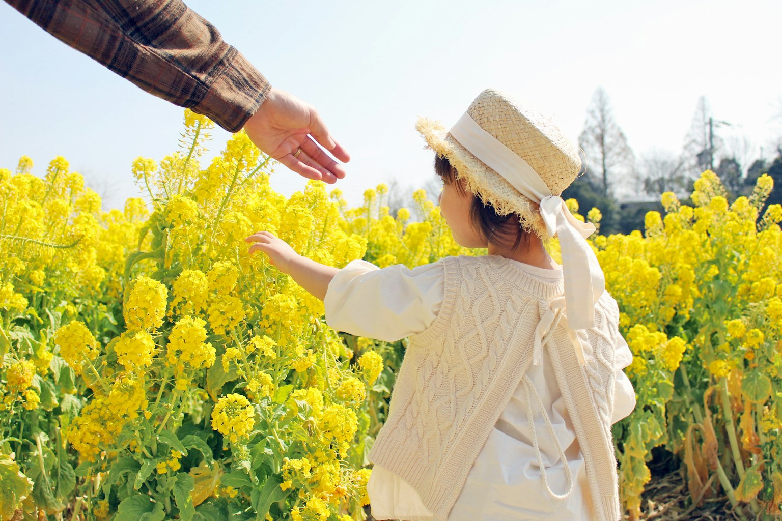 A girl reaching out in a field of yellow flowers with an adult's hand extending towards her