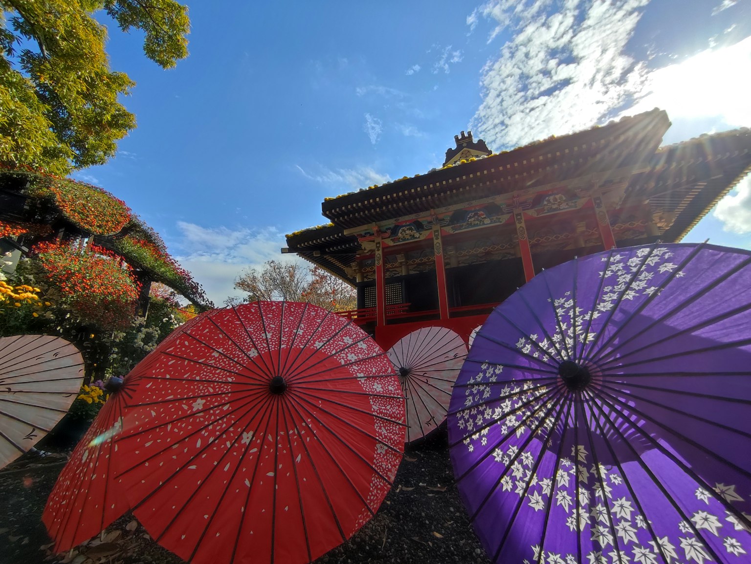 Bâtiment traditionnel japonais avec des parapluies rouges et violets au premier plan