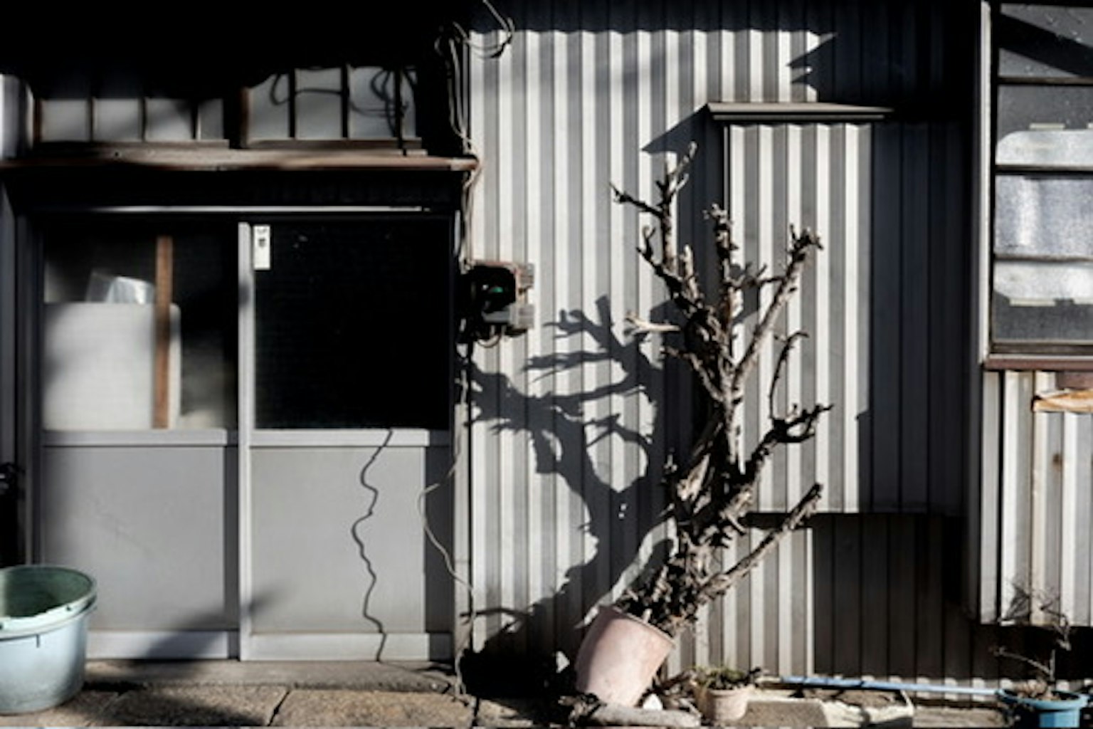 Exterior de una casa antigua con paredes metálicas y puerta Sombras de un árbol en una maceta