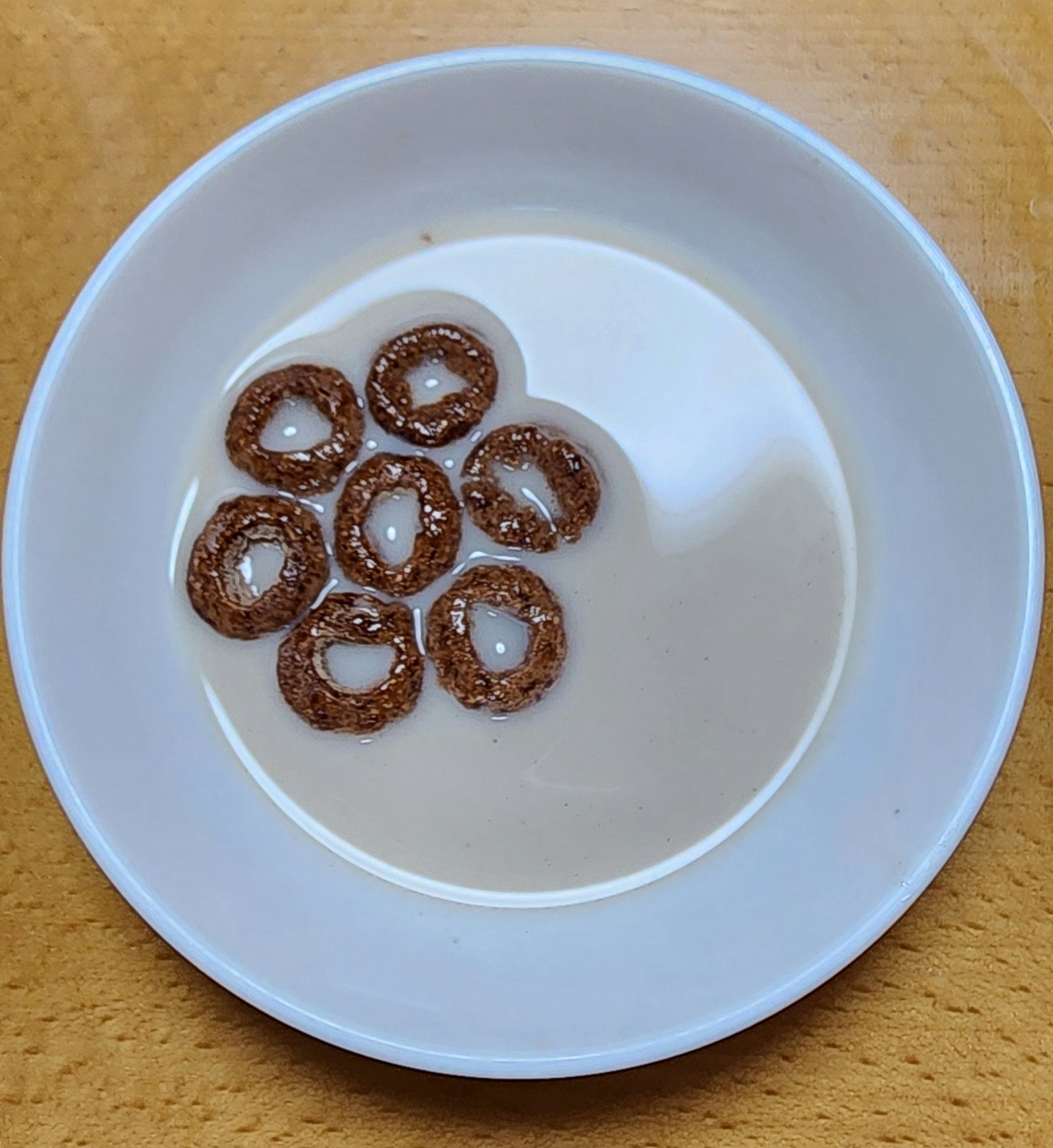 Schokoladencerealien in einer weißen Schüssel mit Milch angeordnet