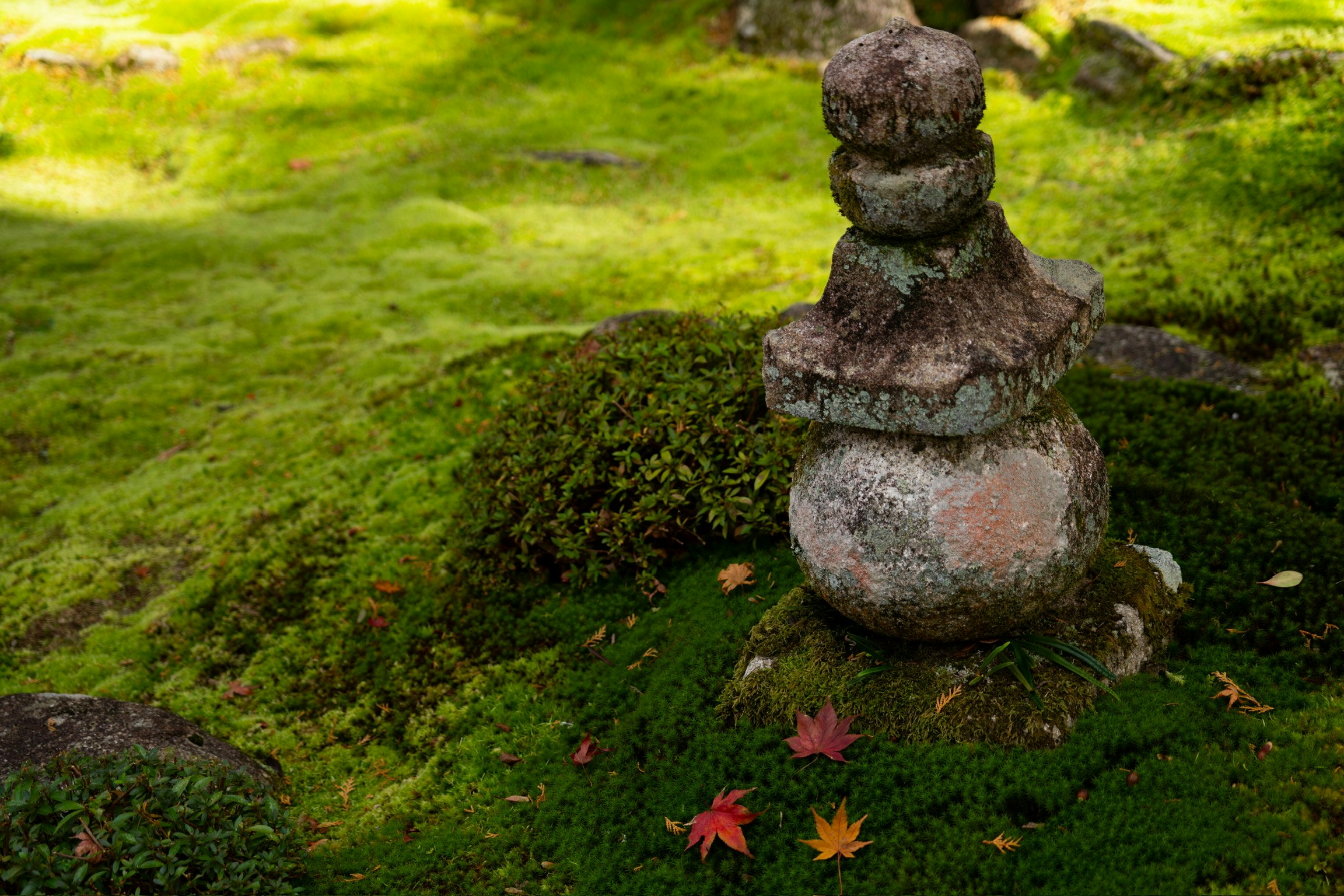 苔むす庭園の石灯籠と紅葉の落ち葉