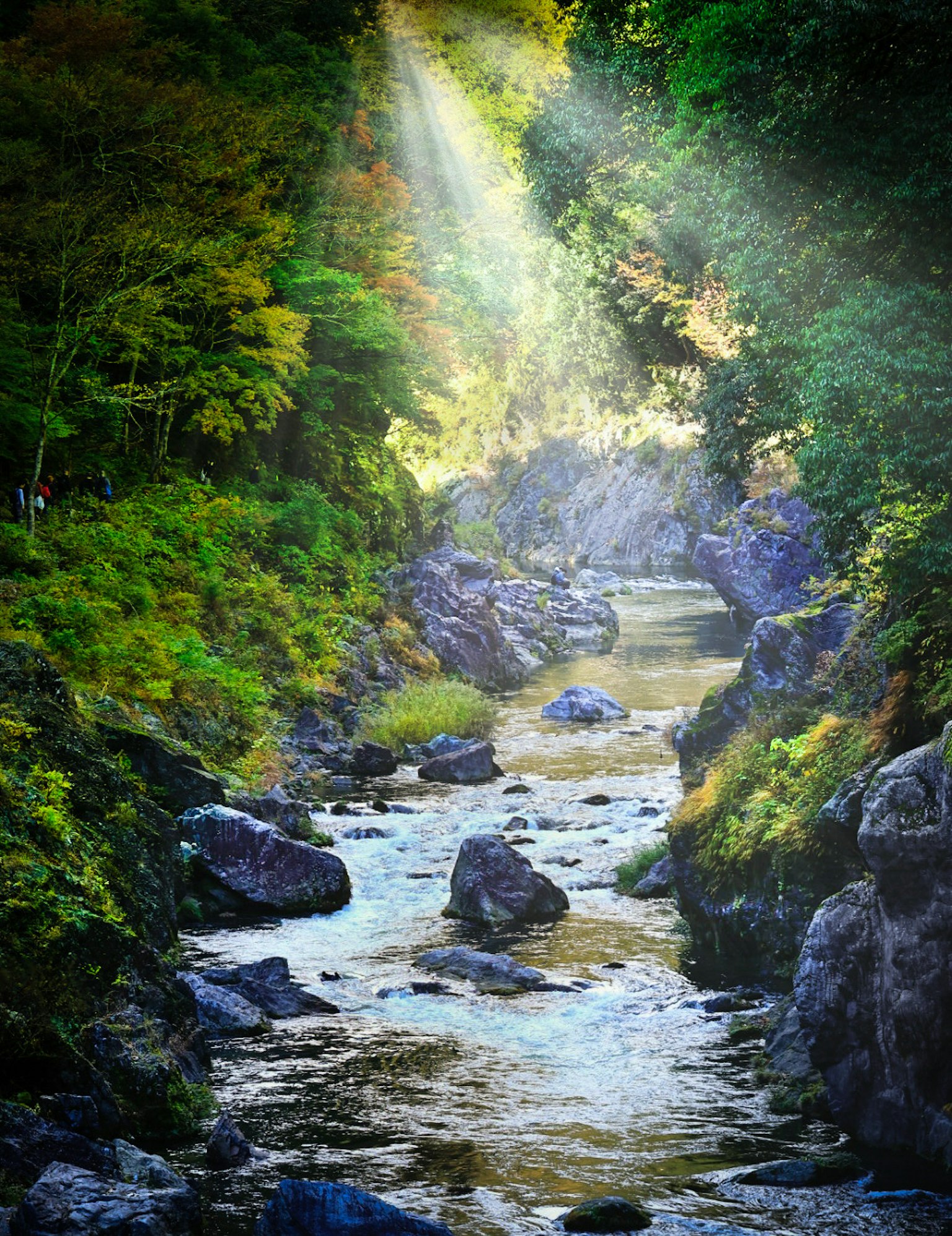 A scenic view of a flowing river with rocks in a lush green valley