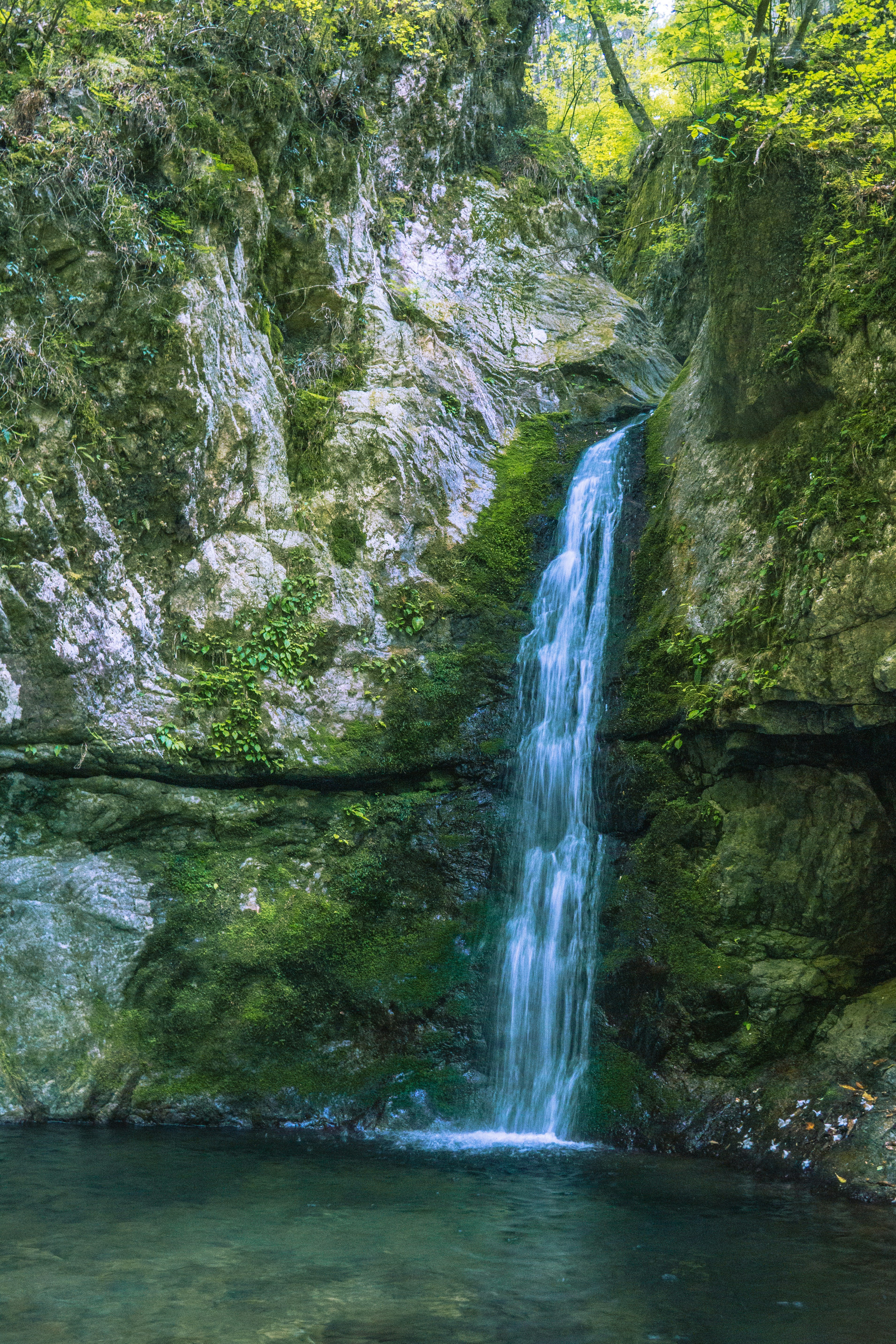 grünes Tal mit einem Wasserfall, der in ein Becken stürzt