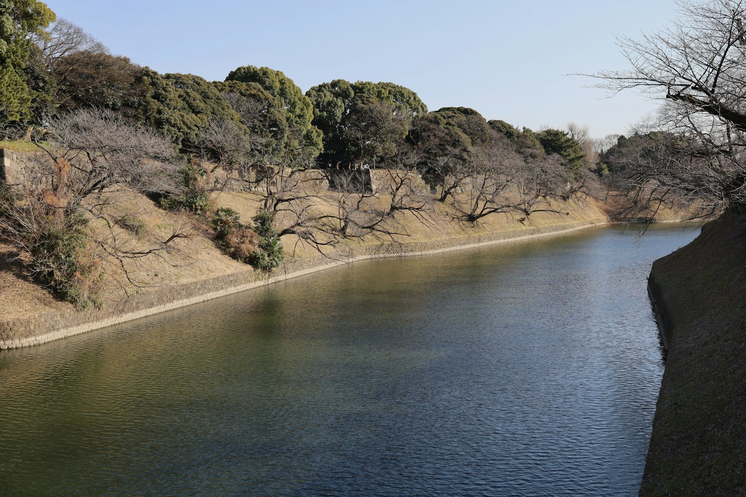 Scena di fiume tranquillo con alberi spogli