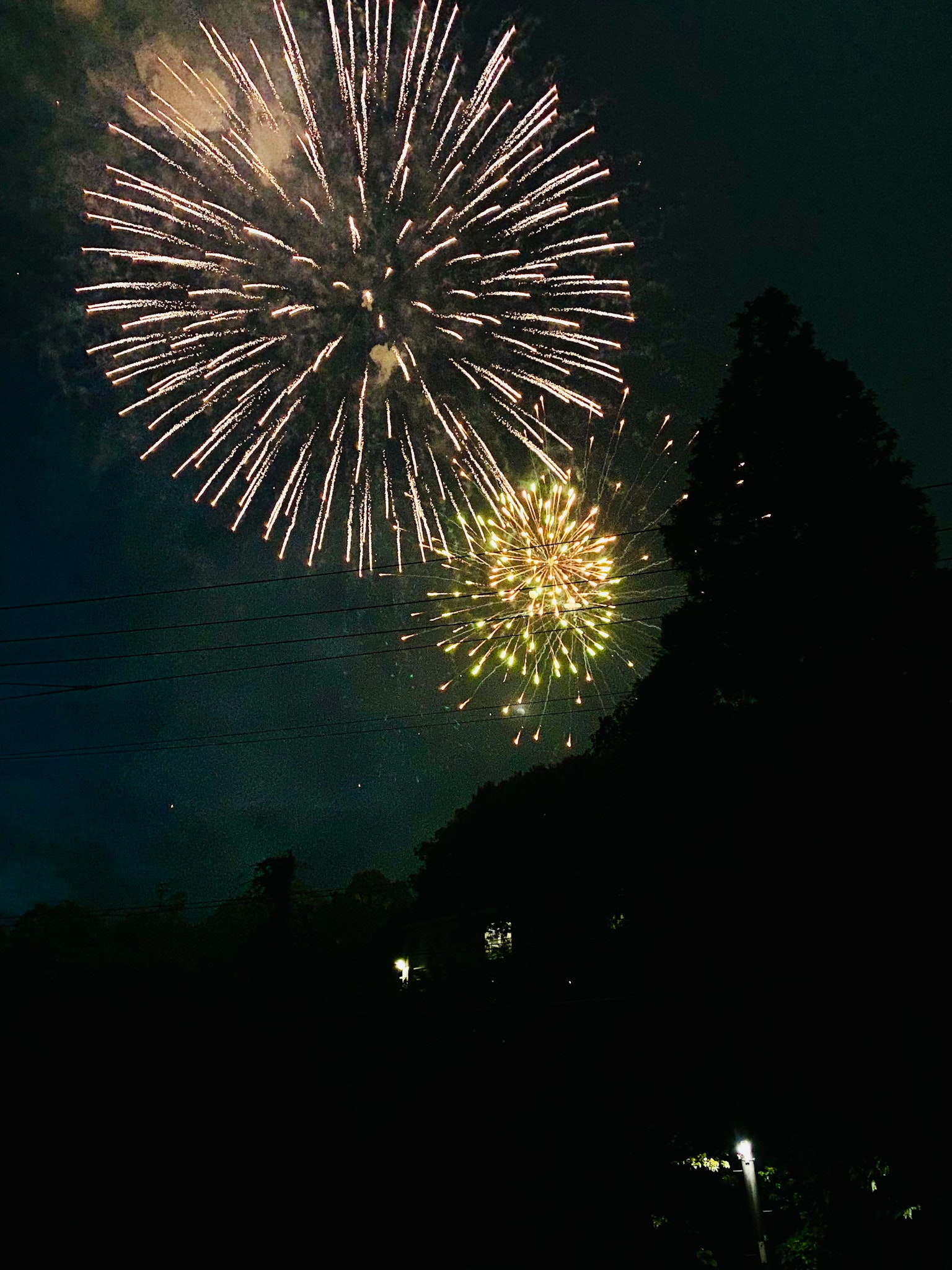 Feux d'artifice illuminant le ciel nocturne avec des arbres en silhouette