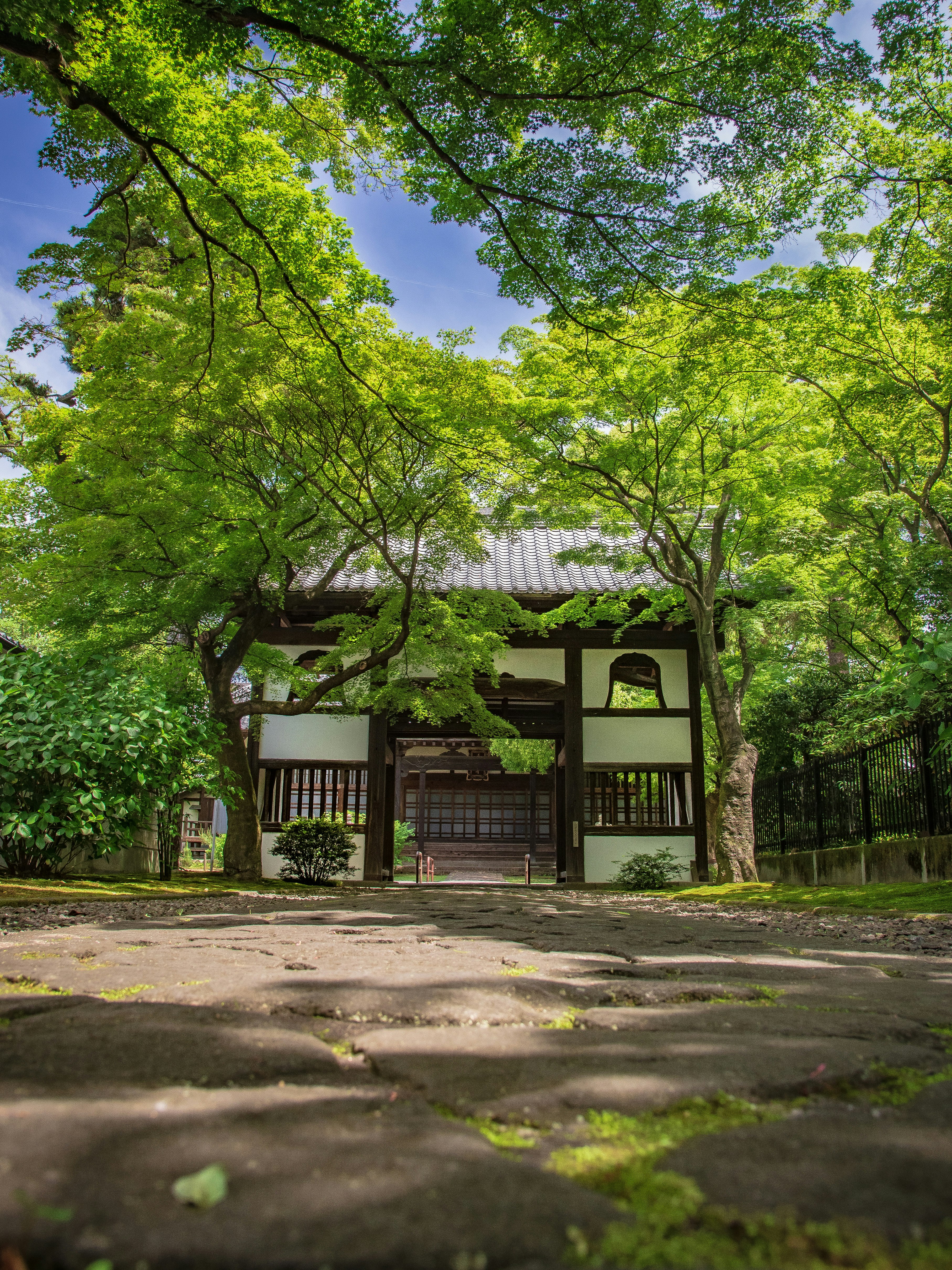 新緑の並木の下にある和風の庭園建物の入口