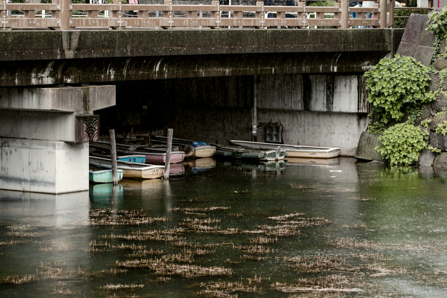 Perahu berwarna-warni berlabuh di bawah jembatan dengan permukaan air tenang