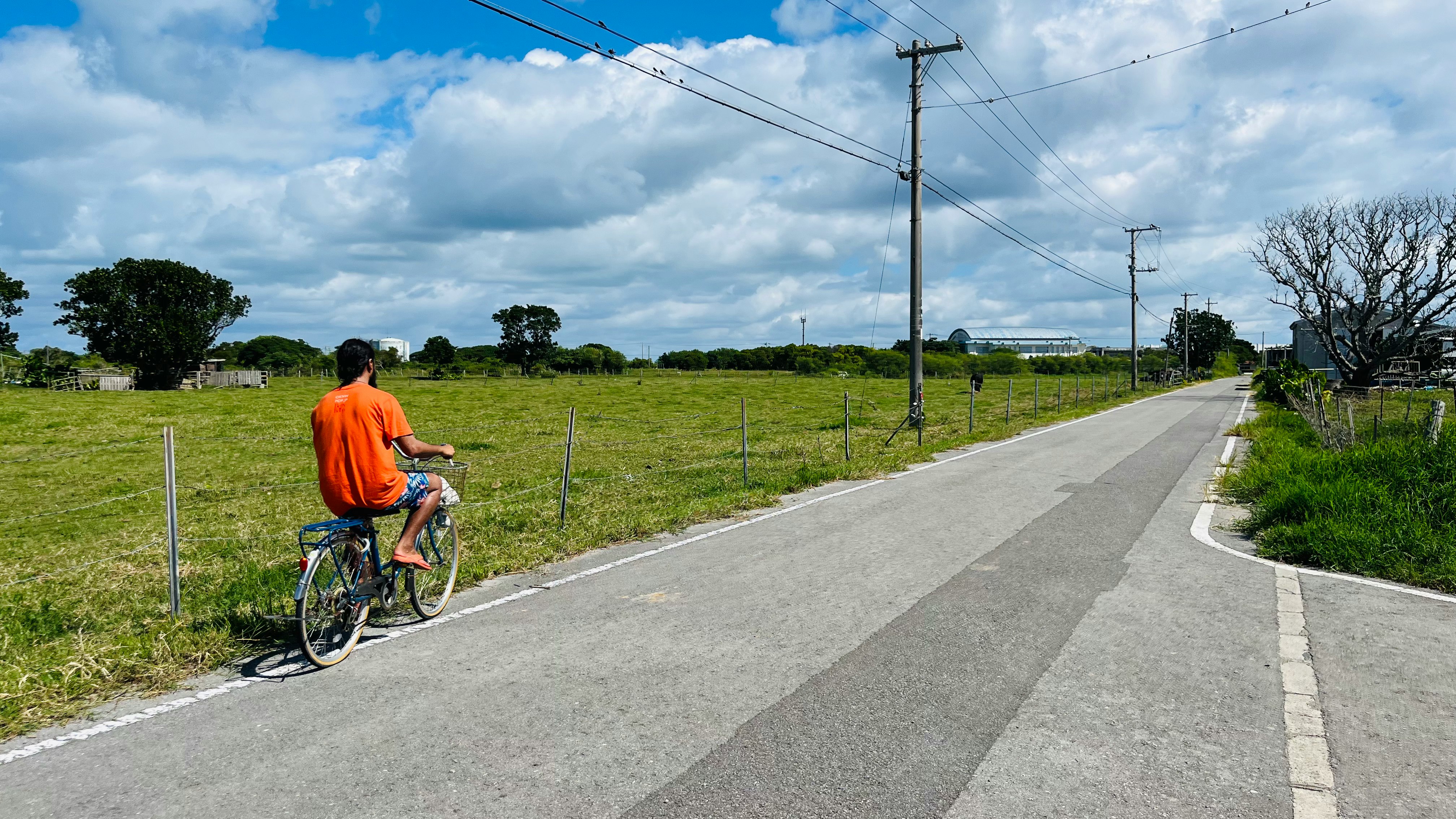 田園の道沿いで自転車に乗る人