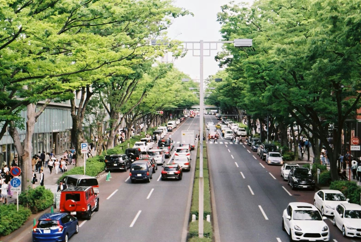 A view of a busy street lined with trees and various vehicles