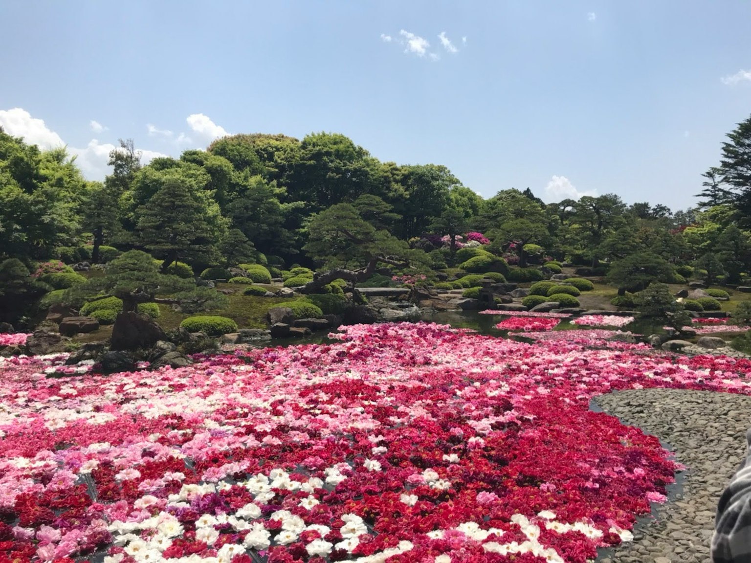 Un giardino vibrante pieno di fiori in fiore in tonalità di rosa