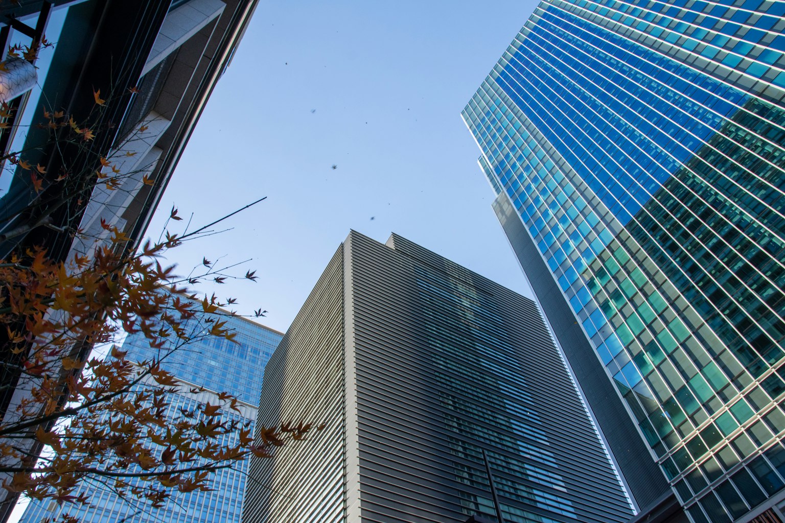 Grattacieli che si ergono verso un cielo blu in un paesaggio urbano