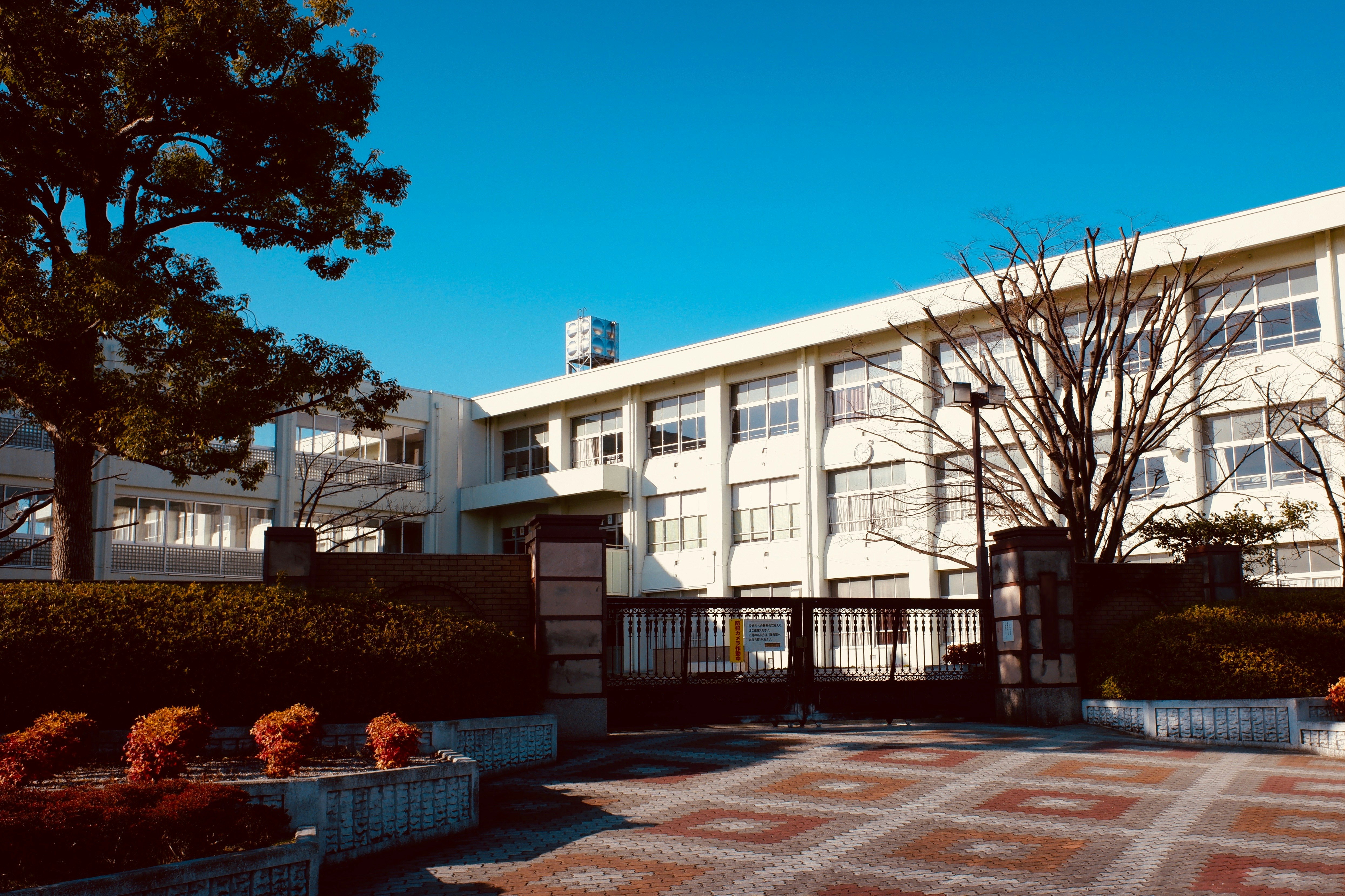 带庭院景观的学校建筑